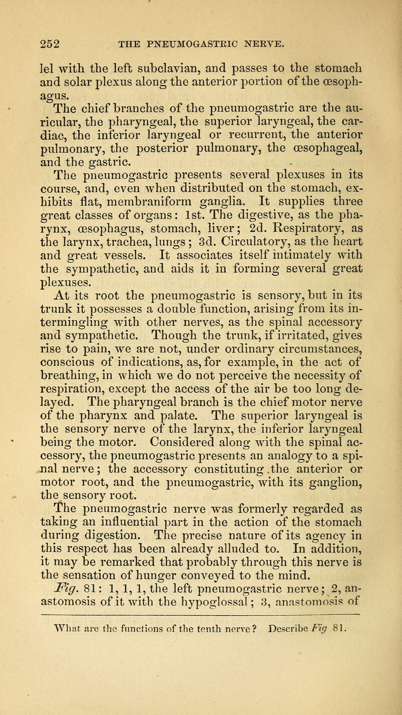 lei with the left subclavian, and passes to the stomach and solar plexus along the anterior portion of the oesoph- agus. The chief branches of the pneumogastric are the au- ricular, the pharyngeal, the superior laryngeal, the car- diac, the inferior laryngeal or recurrent, the anterior pulmonary, the posterior pulmonary, the oesophageal, and the gastric. The pneumogastric presents several plexuses in its course, and, even when distributed on the stomach, ex- hibits flat, membraniform ganglia. It supplies three great classes of organs: 1st. The digestive, as the pha- rynx, oesophagus, stomach, liver; 2d. Respiratory, as the larynx, trachea, lungs ; 3d. Circulatory, as the heart and great vessels. It associates itself intimately with the sympathetic, and aids it in forming several great plexuses. At its root the pneumogastric is sensory, but in its trunk it possesses a double function, arising from its in- termingling with other nerves, as the spinal accessory and sympathetic. Though the trunk, if irritated, gives rise to pain, we are not, under ordinary circumstances, conscious of indications, as, for example, in the act of breathing, in which we do not perceive the necessity of respiration, except the access of the air be too long de- layed. The pharyngeal branch is the chief motor nerve of the pharynx and palate. The superior laryngeal is the sensory nerve of the larynx, the inferior laryngeal being the motor. Considered along with the spinal ac- cessory, the pneumogastric presents an analogy to a spi- nal nerve; the accessory constituting .the anterior or motor root, and the pneumogastric, with its ganglion, the sensory root. The pneumogastric nerve was formerly regarded as taking an influential part in the action of the stomach during digestion. The precise nature of its agency in this respect has been already alluded to. In addition, it may be remarked that probably through this nerve is the sensation of hunger conveyed to the mind. Fig. 81: 1, 1, 1, the left pneumogastric nerve; 2, an- astomosis of it with the hypoglossal; 3, anastomosis of