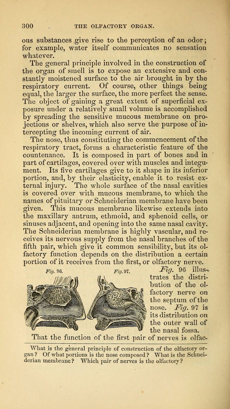 ous substances give rise to the perception of an odor; for example, water itself communicates no sensation whatever. The general principle involved in the construction of the organ of smell is to expose an extensive and con- stantly moistened surface to the air brought in by the respiratory current. Of course, other things being equal, the larger the surface, the more perfect the sense. The object of gaining a great extent of superficial ex- posure under a relatively small volume is accomplished by spreading the sensitive mucous membrane on pro- jections or shelves, which also serve the purpose of in- tercepting the incoming current of air. The nose, thus constituting the commencement of the respiratory tract, forms a characteristic feature of the countenance. It is composed in part of bones and in part of cartilages, covered over with muscles and integu- ment. Its five cartilages give to it shape in its inferior portion, and, by their elasticity, enable it to resist ex- ternal injury. The whole surface of the nasal cavities is covered over with mucous membrane, to which the names of pituitary or Schneiderian membrane have been given. This mucous membrane likewise extends into the maxillary antrum, ethmoid, and sphenoid cells, or sinuses adjacent, and opening into the same nasal cavity. The Schneiderian membrane is highly vascular, and re- ceives its nervous supply from the nasal branches of the fifth pair, which give it common sensibility, but its ol- factory function depends on the distribution a certain portion of it receives from the first, or olfactory nerve. Fig. 96. Fig.9T. Fig. 96 illllS^ I a trates the distri- bution of the ol- factory nerve on the septum of the nose. Fig. 97 is its distribution on the outer wall of the nasal fossa. That the function of the first pair of nerves is olfac- What is the general principle of construction of the olfactory or- gan ? Of what portions is the nose composed ? What is the Schnei- derian membrane? Which pair of nerves is the olfactory?
