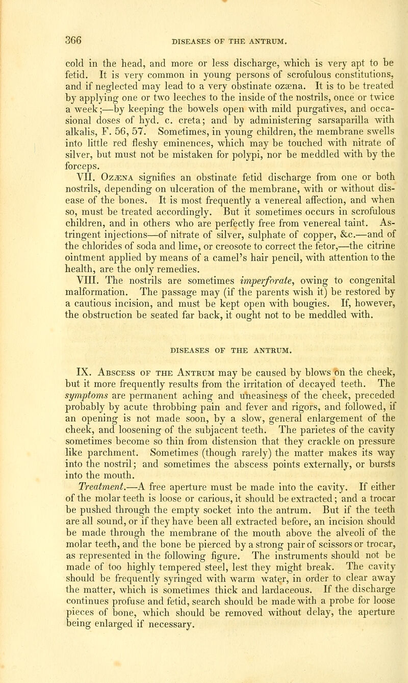 cold in the head, and more or less discharge, which is very apt to be fetid. It is very common in young persons of scrofulous constitutions, and if neglected may lead to a very obstinate ozsena. It is to be treated by applying one or two leeches to the inside of the nostrils, once or twice a week;—^by keeping the bowels open with mild purgatives, and occa- sional doses of hyd. c. creta; and by administering sarsaparilla with alkalis, F. 56, 57. Sometimes, in young children, the membrane swells into little red fleshy eminences, which may be touched with nitrate of silver, but must not be mistaken for polypi, nor be meddled with by the forceps. VII. Oz^NA signifies an obstinate fetid discharge from one or both nostrils, depending on ulceration of the membrane, wdth or without dis- ease of the bones. It is most frequently a venereal affection, and w^hen so, must be treated accordingly. But it sometimes occurs in scrofulous children, and in others w^ho are perfectly free from venereal taint. As- tringent injections—of nitrate of silver, sulphate of copper, &c.—and of the chlorides of soda and lime, or creosote to correct the fetor,—the citrine ointment applied by means of a camel's hair pencil, with attention to the health, are the only remedies. VIII. The nostrils are sometimes imperforate, owing to congenital malformation. The passage may (if the parents wish it) be restored by a cautious incision, and must be kept open with bougies. If, however, the obstruction be seated far back, it ought not to be meddled with. DISEASES OF THE ANTRUM. IX. Abscess of the Antrum may be caused by blows on the cheek, but it more frequently results from the irritation of decayed teeth. The symptoms are permanent aching and uneasiness of the cheek, preceded probably by acute throbbing pain and fever and rigors, and followed, if an opening is not made soon, by a slow, general enlargement of the cheek, and loosening of the subjacent teeth. The parietes of the cavity sometimes become so thin from distension that they crackle on pressure like parchment. Sometimes (though rarely) the matter makes its way into the nostril; and sometimes the abscess points externally, or bursts into the mouth. Treatment.—A free aperture must be made into the cavity. If either of the molar teeth is loose or carious, it should be extracted; and a trocar be pushed through the empty socket into the antrum. But if the teeth are all sound, or if they have been all extracted before, an incision should be made through the membrane of the mouth above the alveoli of the molar teeth, and the bone be pierced by a strong pair of scissors or trocar, as represented in the following figure. The instruments should not be made of too highly tempered steel, lest they might break. The cavity should be frequently syringed with warm water, in order to clear away the matter, which is sometimes thick and lardaceous. If the discharge continues profuse and fetid, search should be made with a probe for loose pieces of bone, which should be removed without delay, the aperture being enlarged if necessary.