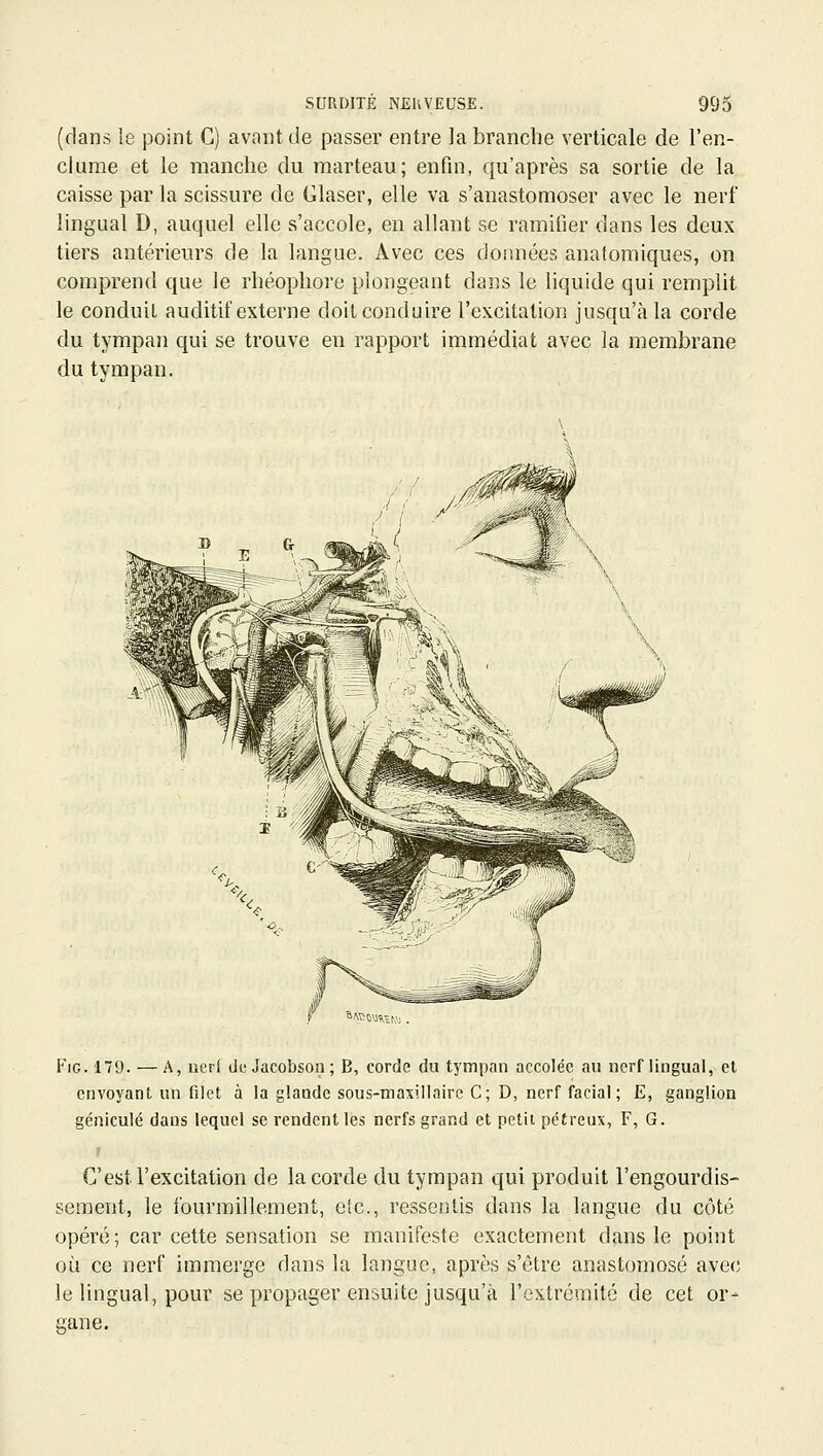 (dans le point C) avant de passer entre la branche verticale de l'en- clume et le manche du marteau; enfin, qu'après sa sortie de la caisse par la scissure de Glaser, elle va s'anastomoser avec le nerf lingual D, auquel elle s'accole, en allant se ramifier dans les deux tiers antérieurs de la langue. Avec ces doimées anatomiques, on comprend que le rhéophore plongeant dans le liquide qui remplit le conduit auditif externe doit conduire l'excitation jusqu'à la corde du tympan qui se trouve en rapport immédiat avec la membrane du tympan. FiG. 179. — A, nerl de Jacobson ; B, corde du tympan accolée au nerf lingual, et envoyant un filet à la glande sous-maxillaire C; D, nerf facial; E, ganglion géniculé dans lequel se rendent les nerfs grand et petit pcfreux, F, G. C'est l'excitation de la corde du tympan qui produit l'engourdis- sement, le fourmillement, etc., ressentis dans la langue du côté opéré; car cette sensation se manifeste exactement dans le point où ce nerf immerge dans la langue, après s'être anastomosé avec le lingual, pour se propager ensuite jusqu'à l'extrémité de cet or- gane.