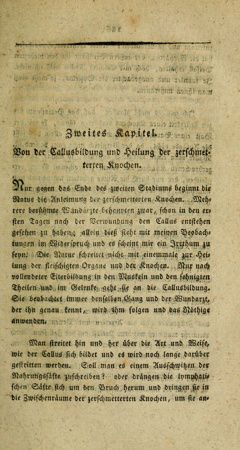 93on tct £d(u$6i(bung unt) Leitung fcer jerfdfjmef* ferren. Änodjen- vtur. ge#en ba& <£nbe ^'?$9f£Ätyi ^tabiumS Beginnt bte Sftatur Ott« 2lnteimung brr ^crfc^inenertcn ^no-dj.crt. ^Ote^s rcre öec'ö^.mtc. &4nb^te.£c(jcu#:en ^war, fcfjon in ben er? ffen $ageit naef) ber %>et'U)unbung ben £atfu£ entfielen gefeljen -$u ^aOen;; alfem bie|3 ftef)t mit meinen Säep&ad)* tunaen im££ibetfprud) unb eß fcfyeint mir ein 3^§ttm j« fet;n; i £>.te STatur fd)reitct wc^t; mit einemmafe. |g£ ^eis fang bei- ßeifcljigten Orgine unb bet ^no^en, fftur nadj twllenbeter <5itert>i(t>un<j in ben %Ru$U}n unb ben feljnigtett ^ej|f»rr||^bsii«| QSelenfe.--ge^t,.^ an t>ie Catfuä&übung* ^ie- 6eo>ac[)ta immer benfel&*n.;<5?amj unb ber .SSunbarjt, ber i^n genau Unnt,. wirb tijro folgen unb,fca$ S?otf)ig,$ <*ntt>enbe.n* Altern breitet §ttt unb $er ü&er t>ie 2lrt unb SBeifo tt)ie ber <£oUu£ fid> fciibet unb e$ wirb nodj lange barü&er geflritteit werben. € eil. man eö etn-em 3fu£fcf)Wi£en ber 9^tr/rung$fafte. jufctyrei&en ? ober brängen-.bie U)\u$$pf fdjen <Säfte ftcfj um ben pvud) r)erum unb bringen jte in fcie 3wifcfjenraume ber &erfcf;metterten ^nocfjen, um fte an*