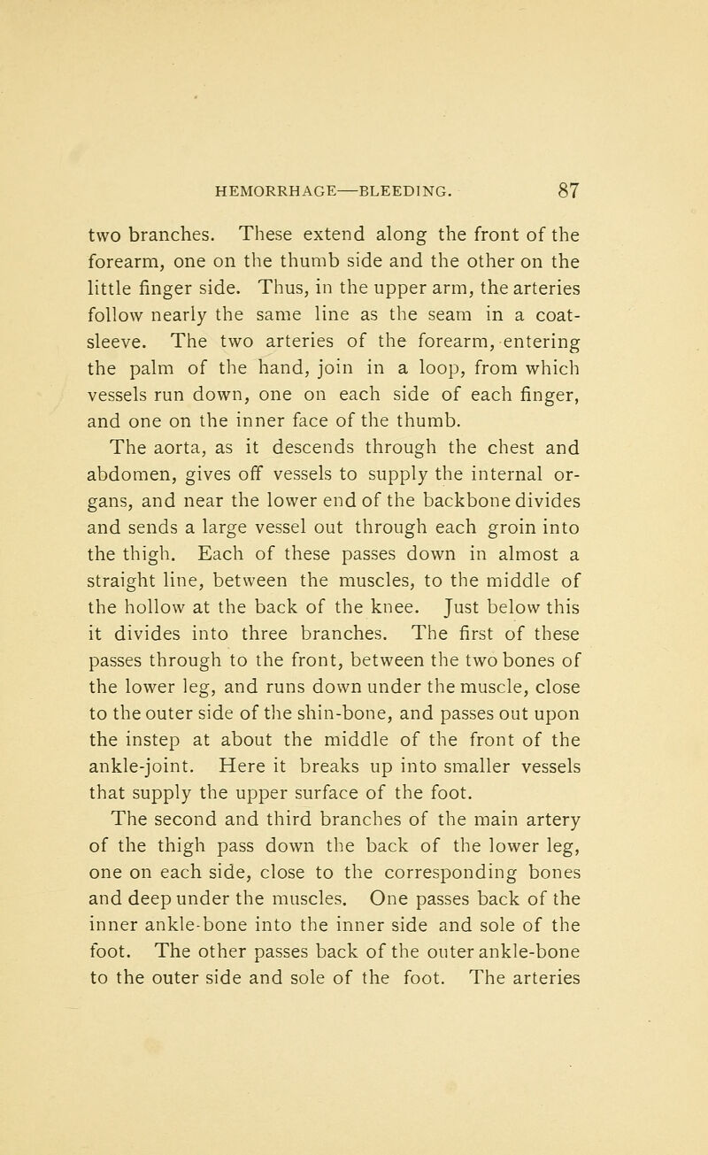 two branches. These extend along the front of the forearm, one on the thumb side and the other on the little finger side. Thus, in the upper arm, the arteries follow nearly the same line as the seam in a coat- sleeve. The two arteries of the forearm, entering the palm of the hand, join in a loop, from which vessels run down, one on each side of each finger, and one on the inner face of the thumb. The aorta, as it descends through the chest and abdomen, gives off vessels to supply the internal or- gans, and near the lower end of the backbone divides and sends a large vessel out through each groin into the thigh. Each of these passes down in almost a straight line, between the muscles, to the middle of the hollow at the back of the knee. Just below this it divides into three branches. The first of these passes through to the front, between the two bones of the lower leg, and runs down under the muscle, close to the outer side of the shin-bone, and passes out upon the instep at about the middle of the front of the ankle-joint. Here it breaks up into smaller vessels that supply the upper surface of the foot. The second and third branches of the main artery of the thigh pass down the back of the lower leg, one on each side, close to the corresponding bones and deep under the muscles. One passes back of the inner ankle-bone into the inner side and sole of the foot. The other passes back of the outer ankle-bone to the outer side and sole of the foot. The arteries