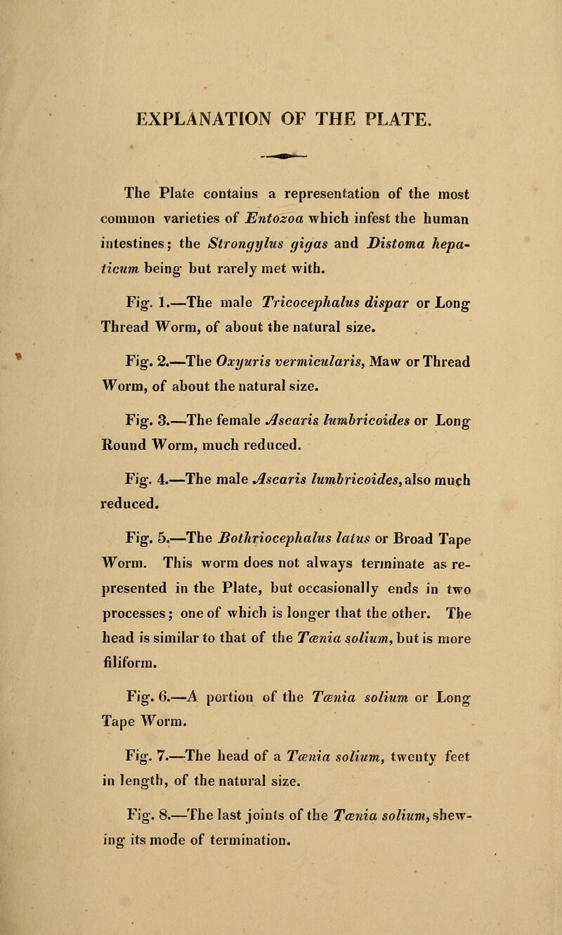 EXPLANATION OF THE PLATE. The Plate contains a representation of the most common varieties of Entozoa which infest the human intestines; the Strongylus gigas and Distoma hepa- ticum being but rarely met with. Fig. 1.—The male Tricocephalus dispar or Long Thread Worm, of about the natural size. Fig. 2.—The Oxyuris vermicularis, Maw or Thread Worm, of about the natural size. Fig. 3.—The female Jlscatis himbricoides or Long Round Worm, much reduced. Fig. 4.—The male Ascaris lumbricoides, also much reduced. Fig. 5.—The Bothriocephalus latus or Broad Tape Worm. This worm does not always terminate as re- presented in the Plate, but occasionally ends in two processes; one of which is longer that the other. The head is similar to that of the Tcsnia solium, but is more filiform. Fig. 6.-—A portion of the Tcenia solium or Long Tape Worm. Fig. 7.—-The head of a Tce?iia solium, twenty feet in length, of the natural size. Fig. 8.—The last joints of the Tania solium, shew- ing its mode of termination.