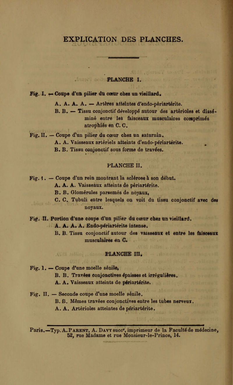 EXPLICATION DES PLANCHES. PLANCHE I. Fig. I. — Coupe d'un pilier du cœur chez un vieillard. A. A. A. A. — Artères atteintes d'endo-périartérite. B. B. — Tissu conjonctif développé autour des artérioles et dissé- miné entre les faisceaux musculaires comprimés atrophiés en C. C. Fig. II. — Coupe d'un pilier du cœur chez un saturnin. A. A. Vaisseaux artériels atteints d'endo-périartérite. B. B. Tissu conjonctif sous forme de travées. PLANCHE II. Fig. 1. — Coupe d'un rein montrant la sclérose à son début. A. A. A. Vaisseaux atteints de périartérite. B. B. Glomérules parsemés de noyaux, C.C. Tubuli entre lesquels on voit du tissu conjonctif avec des noyaux. Fig. II. Portion d'une coupe d'un pilier du cœur chez un vieillard. A. A. A. A. Endo-périartérite intense. B. B. Tissu conjonctif autour des vaisseaux et entre les faisceaux musculaires en C. ELANCHE III. Fig. 1. — Coupe d'une moelle sénile, B. B. Travées conjonctives épaisses et irrégulières. A. A. Vaisseaux atteints de périartérite. Fig. II. — Seconde coupe d'une moelle sénile. B. B. Mêmes travées conjonctives entre les tubes nerveux. A. A. Artérioles atteintes de périartérite. Paris.—Typ. A. Parent, A. Davy succr, imprimeur de la Faculté de médecine, 52, rue Madame et rue Monsieur-le-Prince, 14.