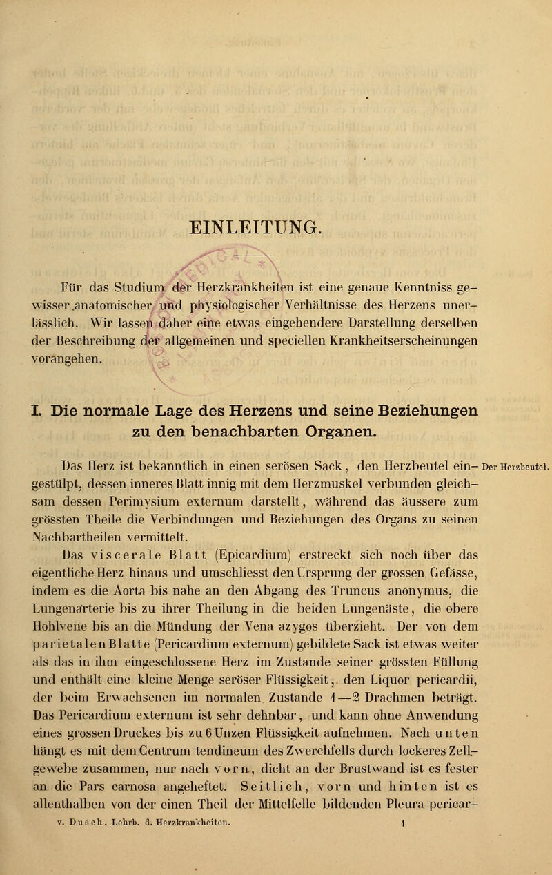 EINLEITUNG. Für das Studium der Herzkrankheiten ist eine genaue Kenntniss ge- wisser .anatomischer und physiologischer Verhältnisse des Herzens uner- lässlich. Wir lassen daher eine etwas eingehendere Darstellung derselben der Beschreibung der allgemeinen und speciellen Krankheitserscheinungen vorangehen. I. Die normale Lage des Herzens und seine Beziehungen zu den benachbarten Organen. Das Herz ist bekanntlich in einen serösen Sack, den Herzbeutel ein- Der Herzbeutel. gestülpt, dessen inneres Blatt innig mit dem Herzmuskel verbunden gleich- sam dessen Perimysium externum darstellt, während das äussere zum grössten Theile die Verbindungen und Beziehungen des Organs zu seinen Nachbartheilen vermittelt. Das viscerale Blatt (Epicardium) erstreckt sich noch über das eigentliche Herz hinaus und umschliesst den Ursprung der grossen Gefässe, indem es die Aorta bis nahe an den Abgang des Truncus anonymus, die Lungenärterie bis zu ihrer Theilung in die beiden Lungenäste, die obere Hohlvene bis an die Mündung der Vena azygos überzieht. Der von dem parietalenBlatte (Pericardium externum) gebildete Sack ist etwas weiter als das in ihm eingeschlossene Herz im Zustande seiner grössten Füllung und enthält eine kleine Menge seröser Flüssigkeit,, den Liquor pericardii, der beim Erwachsenen im normalen Zustande \—2 Drachmen beträgt. Das Pericardium externum ist sehr dehnbar, und kann ohne Anwendung eines grossen Druckes bis zu 6 Unzen Flüssigkeit aufnehmen. Nach unten hängt es mit dem Centrum tendineum des Zwerchfells durch lockeres Zell- gewebe zusammen, nur nach vorn, dicht an der Brustwand ist es fester an die Pars carnosa angeheftet. Seitlich, vorn und hinten ist es allenthalben von der einen Theil der Mittelfelle bildenden Pleura pericar- v. Dusch., Lehrb. d. Herzkrankheiten. \