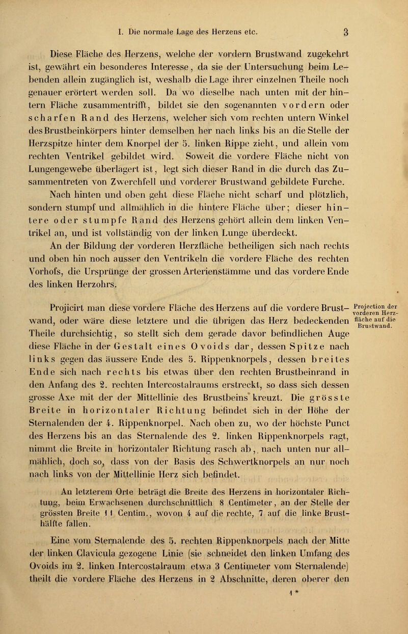Diese Fläche des Herzens, welche der vordem Brustwand zugekehrt ist, gewährt ein besonderes Interesse, da sie der Untersuchung beim Le- benden allein zugänglich ist, weshalb die Lage ihrer einzelnen Theile noch genauer erörtert werden soll. Da wo dieselbe nach unten mit der hin- tern Fläche zusammentrifft, bildet sie den sogenannten vordem oder scharfen Rand des Herzens, welcher sich vom rechten untern Winkel des Brustbeinkörpers hinter demselben her nach links bis an die Stelle der Herzspitze hinter dem Knorpel der 5. linken Rippe zieht, und allein vom rechten Ventrikel gebildet wird. Soweit die vordere Fläche nicht von Lungengewebe überlagert ist, legt sich dieser Rand in die durch das Zu- sammentreten von Zwerchfell und vorderer Brustwand gebildete Furche. Nach hinten und oben geht diese Fläche nicht scharf und plötzlich, sondern stumpf und allmählich in die hintere Fläche über; dieser hin- tere oder stumpfe Band des Herzens gehört allein dem linken Ven- trikel an, und ist vollständig von der linken Lunge überdeckt. An der Bildung der vorderen Herz fläche betheiligen sich nach rechts und oben hin noch ausser den Ventrikeln die vordere Fläche des rechten Vorhofs, die Ursprünge der grossen Arterienstämme und das vordere Ende des linken Herzohrs. Proiicirt man diese vordere Fläche des Herzens auf die vordere Brust- Protection der J vorderen Herz- wand, oder wäre diese letztere und die übrigen das Herz bedeckenden flache auf die ' ° Brustwand. Theile durchsichtig, so stellt sich dem gerade davor befindlichen Auge diese Fläche in der Gestalt eines Ovoids dar, dessen Spitze nach links gegen das äussere Ende des 5. Bippenknorpels, dessen breites Ende sich nach rechts bis etwas über den rechten Brustbeinrand in den Anfang des 2. rechten Intercostalraums erstreckt, so dass sich dessen grosse Axe mit der der Mittellinie des Brustbeins kreuzt. Die grösste Breite in horizontaler Richtung befindet sich in der Höhe der Sternalenden der 4. Rippenknorpel. Nach oben zu, wo der höchste Punct des Herzens bis an das Sternalende des 2. linken Rippenknorpels ragt, nimmt die Breite in horizontaler Richtung rasch ab,. nach unten nur all- mählich, doch so, dass von der Basis des Schwertknorpels an nur noch nach links von der Mittellinie Herz sich befindet. An letzterem Orte beträgt die Breite des Herzens in horizontaler Rich- tung, beim Erwachsenen durchschnittlich 8 Centimeter, an der Stelle der grossten Breite \ I Centim., wovon 4 auf die rechte, 7 auf die linke Brust- hälfte fallen. Eine vom Sternalende des 5. rechten Rippenknorpels nach der Mitte der linken Clavicula gezogene Linie (sie schneidet den linken Umfang des Ovoids im 2. linken Intercostalraum etwa 3 Centimeter vom Sternalende) theilt die vordere Fläche des Herzens in 2 Abschnitte, deren oberer den