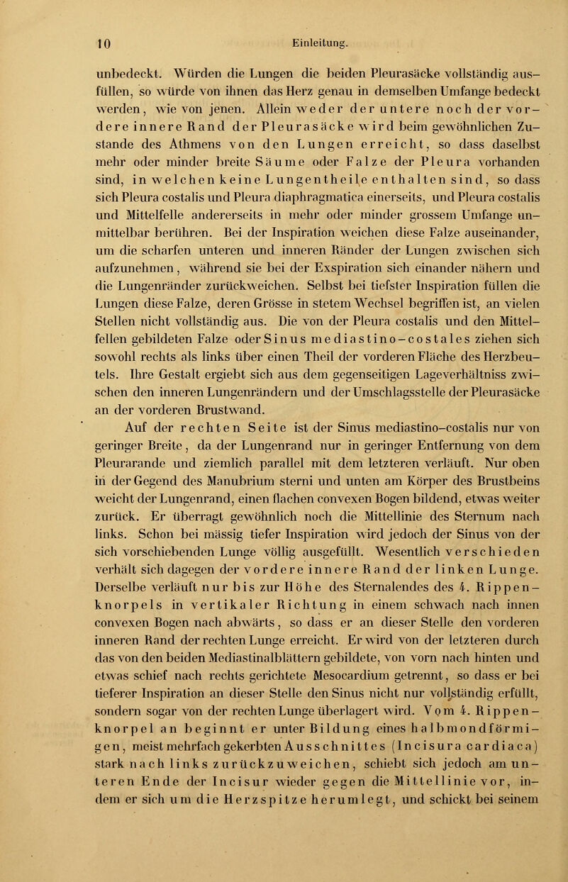 unbedeckt. Würden die Lungen die beiden Pleurasäcke vollständig aus- füllen, so würde von ihnen das Herz genau in demselben Umfange bedeckt werden, wie von jenen. Allein weder der untere noch der vor- dere innere Rand der Pleurasäcke wird beim gewöhnlichen Zu- stande des Athmens von den Lungen erreicht, so dass daselbst mehr oder minder breite Säume oder Falze der Pleura vorhanden sind, in welchen keine Lungentheile enthalten sind, so dass sich Pleura costalis und Pleura diaphragmatica einerseits, und Pleura costalis und Mittelfelle andererseits in mehr oder minder grossem Umfange un- mittelbar berühren. Bei der Inspiration weichen diese Falze auseinander, um die scharfen unteren und inneren Ränder der Lungen zwischen sich aufzunehmen , während sie bei der Exspiration sich einander nähern und die Lungenränder zurückweichen. Selbst bei tiefster Inspiration füllen die Lungen diese Falze, deren Grösse in stetem Wechsel begriffen ist, an vielen Stellen nicht vollständig aus. Die von der Pleura costalis und den Mittel- fellen gebildeten Falze oder Sinus mediastino-costales ziehen sich sowohl rechts als links über einen Theil der vorderen Fläche des Herzbeu- tels. Ihre Gestalt ergiebt sich aus dem gegenseitigen Lageverhältniss zwi- schen den inneren Lungenrändern und der Umschlagsstelle der Pleurasäcke an der vorderen Brustwand. Auf der rechten Seite ist der Sinus mediastino-costalis nur von geringer Breite, da der Lungenrand nur in geringer Entfernung von dem Pleurarande und ziemlich parallel mit dem letzteren verläuft. Nur oben iii der Gegend des Manubrium sterni und unten am Körper des Brustbeins weicht der Lungenrand, einen flachen convexen Bogen bildend, etwas weiter zurück. Er überragt gewöhnlich noch die Mittellinie des Sternum nach links. Schon bei massig tiefer Inspiration wird jedoch der Sinus von der sich vorschiebenden Lunge völlig ausgefüllt. Wesentlich verschieden verhält sich dagegen der vordere innere Rand der linken Lunge. Derselbe verläuft nur bis zur Höhe des Sternalendes des 4. Rippen- knorpels in vertikaler Richtung in einem schwach nach innen convexen Bogen nach abwärts, so dass er an dieser Stelle den vorderen inneren Rand der rechten Lunge erreicht. Er wird von der letzteren durch das von den beiden Mediastinalblättern gebildete, von vorn nach hinten und etwas schief nach rechts gerichtete Mesocardium getrennt, so dass er bei tieferer Inspiration an dieser Stelle den Sinus nicht nur vollständig erfüllt, sondern sogar von der rechten Lunge überlagert wird. Vom 4. Rippen- knorpel an beginnt er unter Bildung eines halbmondförmi- ge n, meist mehrfach gekerbten Ausschnittes (Incisura cardiaca) stark nach links zurückzuweichen, schiebt sich jedoch amun- teren Ende der Incisur wieder gegen die Mittellinie vor, in- dem er sich um die Herzspitzeherumlegt, und schickt bei seinem