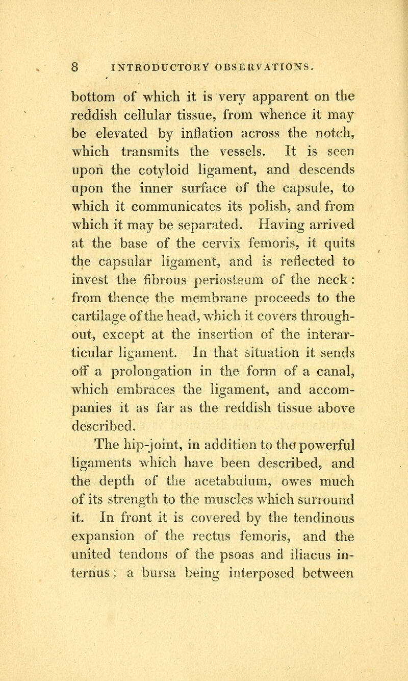 bottom of which it is very apparent on the reddish cellular tissue, from whence it may be elevated by inflation across the notch, which transmits the vessels. It is seen upon the cotyloid ligament, and descends upon the inner surface of the capsule, to which it communicates its polish, and from which it may be separated. Having arrived at the base of the cervix femoris, it quits the capsular ligament, and is reflected to invest the fibrous periosteum of the neck: from thence the membrane proceeds to the cartilage of the head, which it covers through- out, except at the insertion of the interar- ticular ligament. In that situation it sends off a prolongation in the form of a canal, which embraces the ligament, and accom- panies it as far as the reddish tissue above described. The hip-joint, in addition to tho powerful ligaments which have been described, and the depth of the acetabulum, owes much of its strength to the muscles which surround it. In front it is covered by the tendinous expansion of the rectus femoris, and the united tendons of the psoas and iliacus in- ternus; a bursa being interposed between