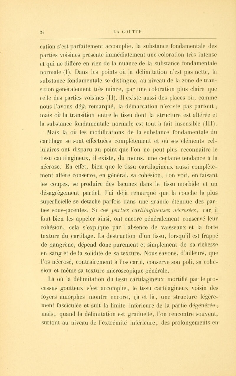 cation s'est parfaitement accomplie, la substance fondamentale des parties voisines présente immédiatement une coloration très intense et qui ne diffère en rien de la nuance de la substance fondamentale normale (I). Dans les points oii la délimitation n'est pas nette, la substance fondamentale se distingue, au niveau de la zone de tran- sition généralement très mince, par une coloration plus claire que celle des parties voisines (II). Il existe aussi des places où, comme nous l'avons déjà remarqué, la démarcation n'existe pas partout ; mais où la transition entre le tissu dont la structure est altérée et la substance fondamentale normale est tout à fait insensible (HI). Mais là où les modifications de la substance fondamentale du cartilage se sont effectuées complètement et où ses élémeuts cel- lulaires ont disparu au point que l'on ne peut plus reconnaître le tissu cartilagineux, il existe, du moins, une certaine tendance à la nécrose. En effet, bien que le tissu cartilagineux aussi complète- ment altéré conserve, en général, sa cohésion, l'on voit, en faisant les coupes, se produire des lacunes dans le tissu morbide et un désagrègement partiel. J'ai déjà reuiarqué que la couche la plus superficielle se détache parfois dans une grande étendue des par- ties sous-jacentes. Si ces parties cartilagineuses nécrosées, car il faut bien les appeler ainsi, ont encore généralement conservé leur cohésion, cela s'explique par l'absence de vaisseaux et la forte texture du cartilage. La destruction d'un tissu, lorsqu'il est frappé de gangrène, dépend donc purement et simplement de sa richesse en sang et de la solidité de sa texture. Nous savons, d'ailleurs, que l'os nécrosé, contrairement à l'os carié, conserve son poli, sa cohé- sion et même sa texture microscopique générale. Là où la délimitation du tissu cartilagineux mortifié par le pro- cessus goutteux s'est accomplie, le tissu cartilagineux voisin des foyers amorphes montre encore, çà et là, une structure légère- ment fasciculée et suit la limite inférieure de la partie dégénérée ; mais, quand la délimitation est graduelle, l'on rencontre souvent, surtout au niveau de l'extrémité inférieure, des prolongements en