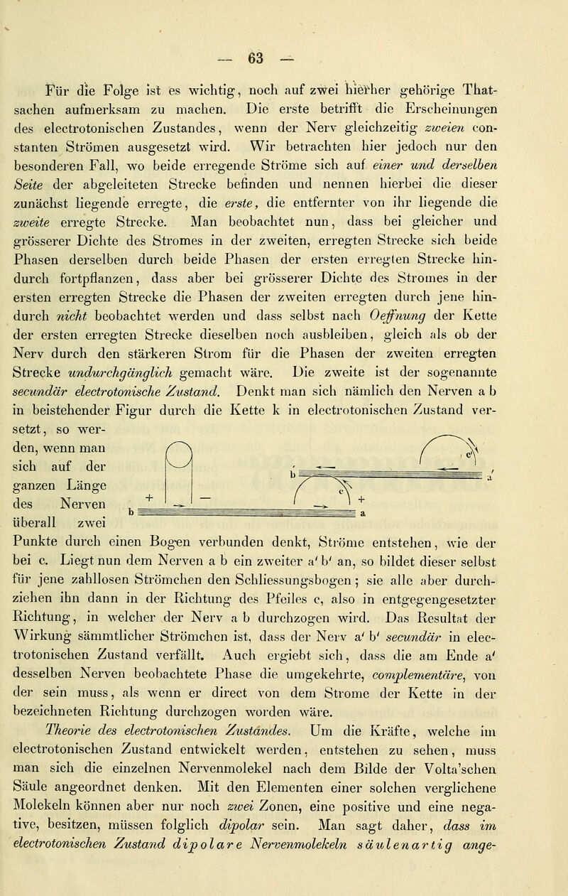 V^ür die Folge Ist es wichtig, noch auf zwei hie^^her gehörige That- sachen aufmerksam zu machen. Die erste betrifft die Erscheinungen des electrotonischen Zustandes, wenn der Nerv gleichzeitig zweien con- stanten Strömen ausgesetzt wird. Wir betrachten hier jedoch nur den besonderen Fall, wo beide erregende Ströme sich auf einer und derselben Seite der abgeleiteten Strecke befinden und nennen hierbei die dieser zunächst liegende erregte, die erste, die entfernter von ihr liegende die zweite erregte Strecke. Man beobachtet nun, dass bei gleicher und grösserer Dichte des Stromes in der zweiten, erregten Strecke sich beide Phasen derselben durch beide Phasen der ersten erregten Strecke hin- durch fortpflanzen, dass aber bei grösserer Dichte des Stromes in der ersten erregten Strecke die Phasen der zweiten erregten dui-ch jene hin- durch nicht beobachtet werden und dass selbst nach Oeffnung der Kette der ersten erregten Strecke dieselben noch ausbleiben, gleich als ob der Nerv durch den stärkeren Strom für die Phasen der zweiten erregten Strecke undurchganglich gemacht wäre. Die zweite ist der sogenannte secundär electrotonische Zustand. Denkt man sich nämlich den Nerven a b in beistehender Figur durch die Kette k in electrotonischen Zustand ver- setzt, so wer- den, wenn man /^ sich auf der ganzen Länge des Nerven überall zwei Punkte durch einen Bog-en verbunden denkt, Sti'öme entstehen, wie der bei c. Liegt nun dem Nerven a b ein zweiter a' b' an, so bildet dieser selbst für jene zahllosen Strömchen den Schliessungsbogen; sie alle aber durch- ziehen ihn dann in der Richtung des Pfeiles c, also in entgegengesetzter Richtung, in welcher der Nerv a b durchzogen wird. Das Resultat der Wirkung sämmtlicher Strömchen ist, dass der Nerv a' b' secundär in elec- trotonischen Zustand verfällt. Auch ergiebt sich, dass die am Ende a' desselben Nerven beobachtete Phase die umgekehrte, comj)lementäre, von der sein muss, als wenn er direct von dem Strome der Kette in der bezeichneten Richtung durchzogen worden wäre. Theorie des electrotonischen Zustandes. Um die Kräfte, welche im electrotonischen Zustand entwickelt werden, entstehen zu sehen, muss man sich die einzelnen Nervenmolekel nach dem Bilde der Volta'schen Säule angeordnet denken. Mit den Elementen einer solchen verglichene Molekeln können aber nur noch zwei Zonen, eine positive und eine nega- tive, besitzen, müssen folglich dipolar sein. Man sagt daher, dass im electrotonischen Zustand dipolare Nervenmolekeln säulenartig ange-