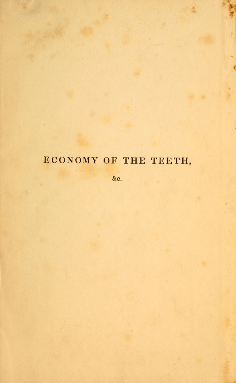 ECONOMY OF THE TEETH, &c.