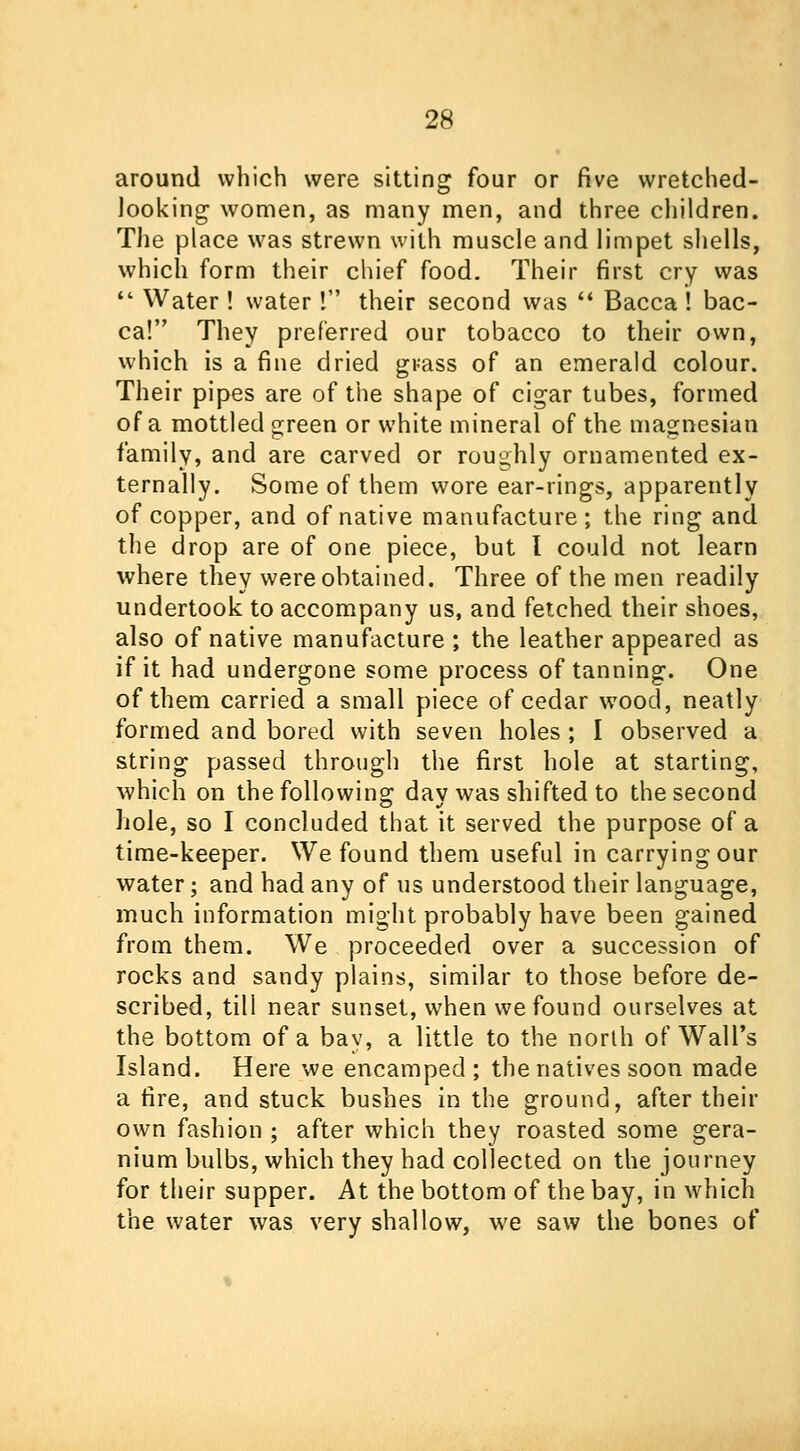 around which were sitting four or five wretched- looking women, as many men, and three children. The place was strewn with muscle and limpet shells, which form their chief food. Their first cry was  Water ! water! their second was  Bacca ! bac- ca! They preferred our tobacco to their own, which is a fine dried grass of an emerald colour. Their pipes are of the shape of cigar tubes, formed of a mottled green or white mineral of the magnesian family, and are carved or roughly ornamented ex- ternally. Some of them wore ear-rings, apparently of copper, and of native manufacture; the ring and the drop are of one piece, but I could not learn where they were obtained. Three of the men readily undertook to accompany us, and fetched their shoes, also of native manufacture ; the leather appeared as if it had undergone some process of tanning. One of them carried a small piece of cedar wood, neatly formed and bored with seven holes ; I observed a string passed through the first hole at starting, which on the following day was shifted to the second hole, so I concluded that it served the purpose of a time-keeper. We found them useful in carrying our water; and had any of us understood their language, much information might probably have been gained from them. We proceeded over a succession of rocks and sandy plains, similar to those before de- scribed, till near sunset, when we found ourselves at the bottom of a bay, a little to the north of Wall's Island. Here we encamped; the natives soon made a fire, and stuck bushes in the ground, after their own fashion ; after which they roasted some gera- nium bulbs, which they had collected on the journey for their supper. At the bottom of the bay, in which the water was very shallow, we saw the bones of