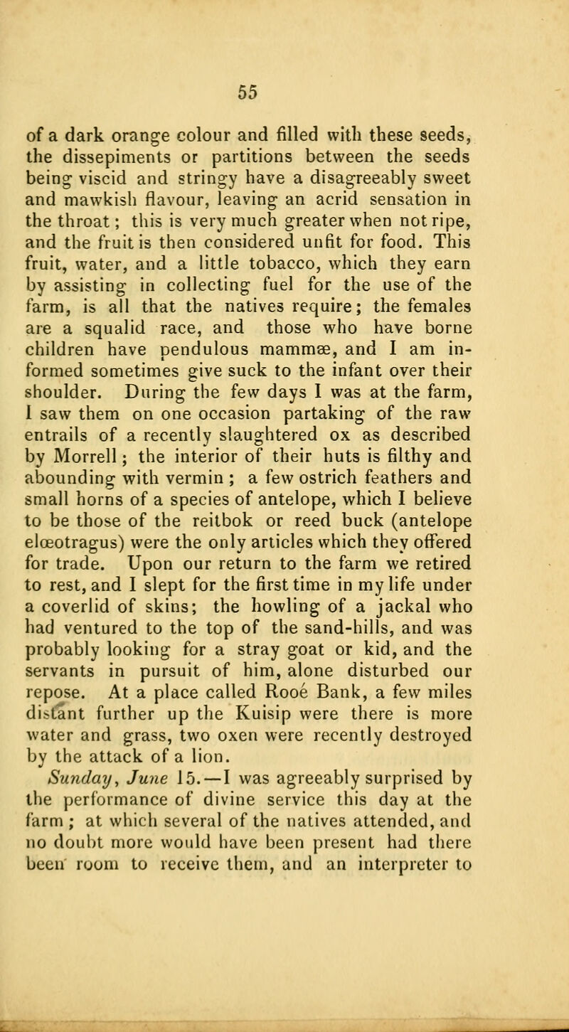 of a dark orange colour and filled with these seeds, the dissepiments or partitions between the seeds being viscid and stringy have a disagreeably sweet and mawkish flavour, leaving an acrid sensation in the throat; this is very much greater when not ripe, and the fruit is then considered unfit for food. This fruit, water, and a little tobacco, which they earn by assisting in collecting fuel for the use of the farm, is all that the natives require; the females are a squalid race, and those who have borne children have pendulous mammse, and I am in- formed sometimes give suck to the infant over their shoulder. During the few days I was at the farm, I saw them on one occasion partaking of the raw entrails of a recently slaughtered ox as described by Morrell; the interior of their huts is filthy and abounding with vermin ; a few ostrich feathers and small horns of a species of antelope, which I believe to be those of the reitbok or reed buck (antelope eloeotragus) were the only articles which they offered for trade. Upon our return to the farm we retired to rest, and I slept for the first time in my life under a coverlid of skins; the howling of a jackal who had ventured to the top of the sand-hills, and was probably looking for a stray goat or kid, and the servants in pursuit of him, alone disturbed our repose. At a place called Rooe Bank, a few miles distant further up the Kuisip were there is more water and grass, two oxen were recently destroyed by the attack of a lion. Sunday, June 15. — I was agreeably surprised by the performance of divine service this day at the farm ; at which several of the natives attended, and no doubt more would have been present had there been room to receive them, and an interpreter to