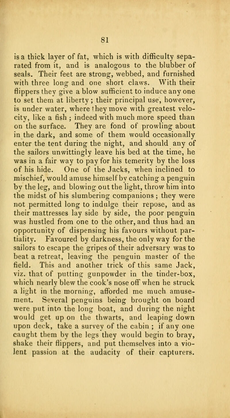 is a thick layer of fat, which is with difficulty sepa- rated from it, and is analogous to the blubber of seals. Their feet are strong, webbed, and furnished with three loner and one short claws. With their flippers they give a blow sufficient to induce any one to set them at liberty; their principal use, however, is under water, where they move with greatest velo- city, like a fish ; indeed with much more speed than on the surface. They are fond of prowling about in the dark, and some of them would occasionally enter the tent during the night, and should any of the sailors unwittingly leave his bed at the time, he was in a fair way to pay for his temerity by the loss of his hide. One of the Jacks, when inclined to mischief, would amuse himself by catching a penguin by the leg, and blowing out the light, throw him into the midst of his slumbering companions ; they were not permitted long to indulge their repose, and as their mattresses lay side by side, the poor penguin was hustled from one to the other, and thus had an opportunity of dispensing his favours without par- tiality. Favoured by darkness, the only way for the sailors to escape the gripes of their adversary was to beat a retreat, leaving the penguin master of the field. This and another trick of this same Jack, viz. that of putting gunpowder in the tinder-box, which nearly blew the cook's nose off when he struck a li^ht in the morning, afforded me much amuse- ment. Several penguins being brought on board were put into the long boat, and during the night would get up on the thwarts, and leaping down upon deck, take a survey of the cabin ; if any one caught them by the legs they would begin to bray, shake their flippers, and put themselves into a vio- lent passion at the audacity of their capturers.