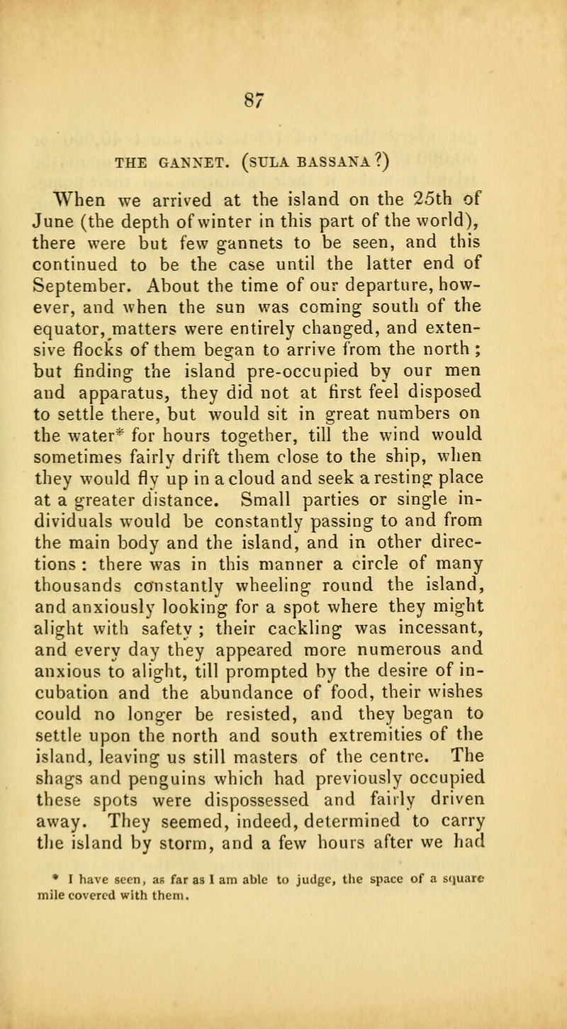 THE GANXET. (SULA BASSAXA ?) When we arrived at the island on the 25th of June (the depth of winter in this part of the world), there were but few gannets to be seen, and this continued to be the case until the latter end of September. About the time of our departure, how- ever, and when the sun was coming south of the equator, matters were entirely changed, and exten- sive flocks of them began to arrive from the north ; but finding the island pre-occupied by our men and apparatus, they did not at first feel disposed to settle there, but would sit in great numbers on the water* for hours together, till the wind would sometimes fairly drift them close to the ship, when they would fly up in a cloud and seek a resting place at a greater distance. Small parties or single in- dividuals would be constantly passing to and from the main body and the island, and in other direc- tions : there was in this manner a circle of many thousands constantly wheeling round the island, and anxiously looking for a spot where they might alight with safety ; their cackling was incessant, and every day they appeared more numerous and anxious to alight, till prompted by the desire of in- cubation and the abundance of food, their wishes could no longer be resisted, and they began to settle upon the north and south extremities of the island, leaving us still masters of the centre. The shags and penguins which had previously occupied these spots were dispossessed and fairly driven away. They seemed, indeed, determined to carry the island by storm, and a few hours after we had * I have seen, as far as I am able to judge, the space of a square mile covered with them.