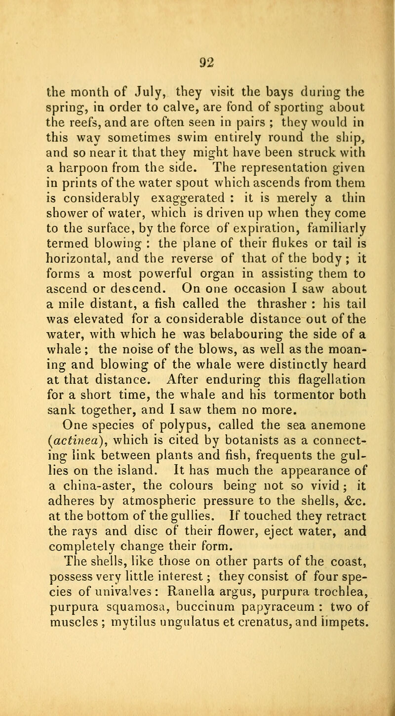 the month of July, they visit the bays during the spring, in order to calve, are fond of sporting about the reefs, and are often seen in pairs ; they would in this way sometimes swim entirely round the ship, and so near it that they might have been struck with a harpoon from the side. The representation given in prints of the water spout which ascends from them is considerably exaggerated : it is merely a thin shower of water, which is driven up when they come to the surface, by the force of expiration, familiarly termed blowing : the plane of their flukes or tail is horizontal, and the reverse of that of the body; it forms a most powerful organ in assisting them to ascend or descend. On one occasion I saw about a mile distant, a fish called the thrasher : his tail was elevated for a considerable distance out of the water, with which he was belabouring the side of a whale ; the noise of the blows, as well as the moan- ing and blowing of the whale were distinctly heard at that distance. After enduring this flagellation for a short time, the whale and his tormentor both sank together, and I saw them no more. One species of polypus, called the sea anemone (acti?iea), which is cited by botanists as a connect- ing link between plants and fish, frequents the gul- lies on the island. It has much the appearance of a china-aster, the colours being not so vivid; it adheres by atmospheric pressure to the shells, &c. at the bottom of the gullies. If touched they retract the rays and disc of their flower, eject water, and completely change their form. The shells, like those on other parts of the coast, possess very little interest; they consist of four spe- cies of univalves : Ranella argus, purpura trochlea, purpura squamosa, buccinum papyraceum : two of muscles ; mytilus ungulatus et crenatus, and limpets.