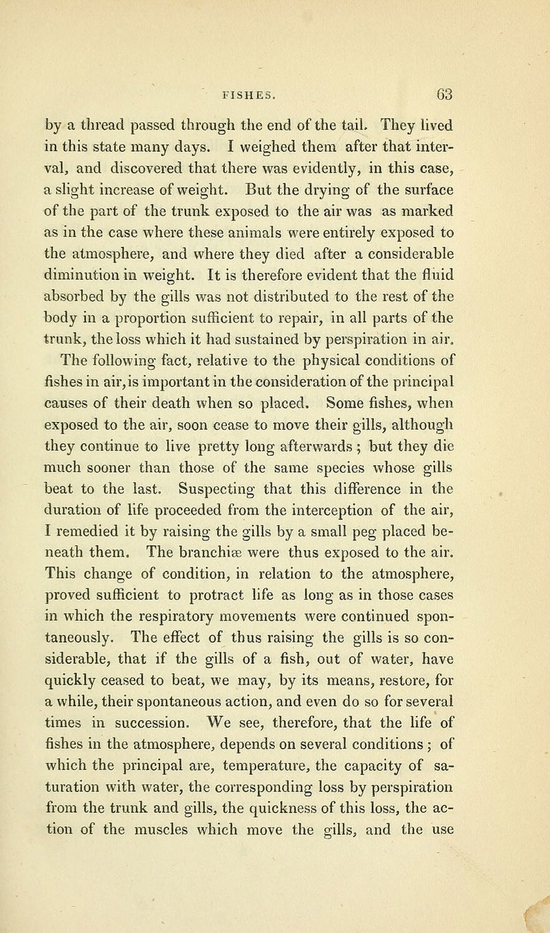 by a thread passed through the end of the taiL They lived in this state many days. I weighed them after that inter- val, and discovered that there was evidently, in this case, a slight increase of weight. But the drying of the surface of the part of the trunk exposed to the air was as marked as in the case where these animals were entirely exposed to the atmosphere, and where they died after a considerable diminution in weight. It is therefore evident that the fluid absorbed by the gills was not distributed to the rest of the body in a proportion sufficient to repair, in all parts of the trunk, the loss which it had sustained by perspiration in air. The following fact, relative to the physical conditions of fishes in air,is important in the consideration of the principal causes of their death when so placed. Some fishes, when exposed to the air, soon cease to move their gills, although they continue to live pretty long afterwards ; but they die much sooner than those of the same species whose gills beat to the last. Suspecting that this difference in the duration of life proceeded from the interception of the air, I remedied it by raising the gills by a small peg placed be- neath them. The branchiae were thus exposed to the air. This change of condition, in relation to the atmosphere, proved sufficient to protract life as long as in those cases in which the respiratory movements were continued spon- taneously. The effect of thus raising the gills is so con- siderable, that if the gills of a fish, out of water, have quickly ceased to beat, we may, by its means, restore, for a while, their spontaneous action, and even do so for several times in succession. We see, therefore, that the life of fishes in the atmosphere, depends on several conditions ; of which the principal are, temperature, the capacity of sa- turation with water, the corresponding loss by perspiration from the trunk and gills, the quickness of this loss, the ac- tion of the muscles which move the gills, and the use