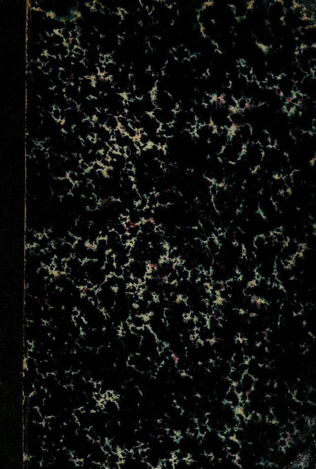 digitised image 1
