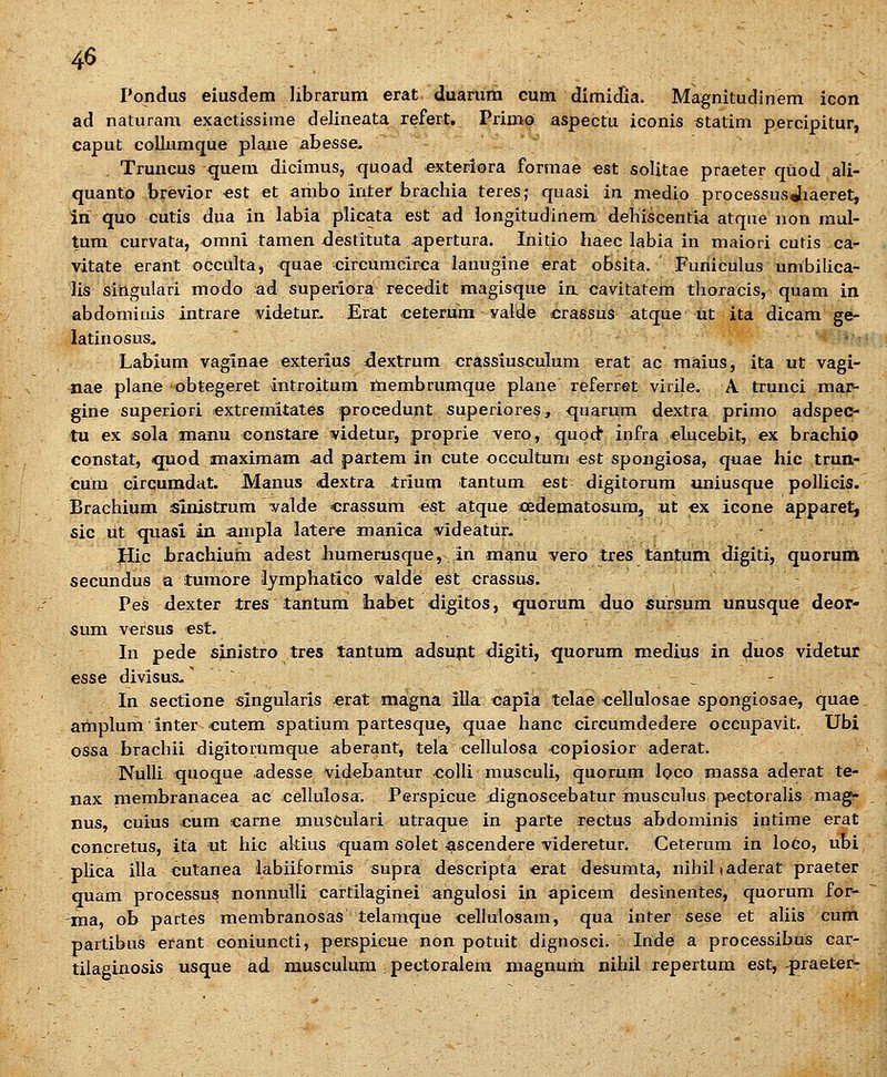 Pondus eiusdem librarum erat duarura cum dimidia. Magnitudinem icon ad naturam exaetissime delineata refert. Primo aspectu iconis «tatim percipitur, caput collumque plaae abesse, Truncus quem dicimus, <juoad exteriora formae est solitae praeter quod ali- quanto brevior «st et ambo intef brachia teres; quasi in medio processusjiaeret, in quo cutis dua in labia plicata est ad longitudinem dehiscentia atque non raul- tum curvata, omni tamen destituta apertura. Initio haec labia in maiori cutis ca- vitate erant occulta, quae circumcirca lanugine erat obsita. ' Furiiculus umbilica- lis sittgulari modo ad superiora recedit magisque in cavitatem thoracis, quam in abdomiiiis intrare videtur.. Erat ceterum valde crassus atque ut ita dicam ge- latinosus., Labium vaginae exterius 4extrum crassiusculum erat ac maius, ita ut vagi- nae plane obtegeret introitum membrumque plane referret virile. A trunci mar- gine superiori extremitates procedunt superiores, quarum dextra primo adspec- tu ex sola manu constare ^idetur, proprie vero, quod' infra elucebit, ex brachio constat, «quod anaximam ad partem in cute occultum est spougiosa, quae hic trun- cum circumdat. Manus «dextra trium tantum est digitorum uniusque pollicis. Brachium sinistrum valde crassum «st ajtque aoedematosum, ut ex icone apparet, 5ic ut quasi in ampla latere ananica ^ideatur. • Hic brachium adest bumerusque, In manu vero tres tantum digiti, quorum secundus a tumore lymphatico valde est crassus. Pes dexter tres tantum iiabet digitos, quorum duo sursum unusque deor- sum versus «st. In pede sinistro tres tantum adsunt digiti, quorum medius in duos videtur esse divisus-, ^ ' ^ - In sectione singularis ^rat magna illa capia telae -cellulosae spongiosae, quae amplum inter cutem spatium partesque, quae hanc circumdedere occupavit. Ubi ossa brachii digitorumque aberant, tela cellulosa •copiosior aderat. NuIIi quoque adesse videbantur .colli musculi, quorum loco massa aderat te- nax membranacea ac cellulosa'. Perspicue dignoscebatur musculus pectoralis mag- nus, cuius cum carne muscuiari utraque in parte rectus abdominis intime erat concretus, ita ut hic akius quam solet-ascendere videretur. Ceterum in loCo, ubi plica illa cutanea labiiformis supra descripta erat desumta, nihiltaderat praeter quam processus nonnulli cartilaginei angulosi in apicem desinentes, quorum for- ma, ob partes membranosas telaraque cellulosam, qua inter sese et aliis cum partibus erant coniuncti, perspieue non potuit dignosci. Iride a processibus car- tilaginosis usque ad musculum pectoralem magnurii nihil repertum est, ^raeter-