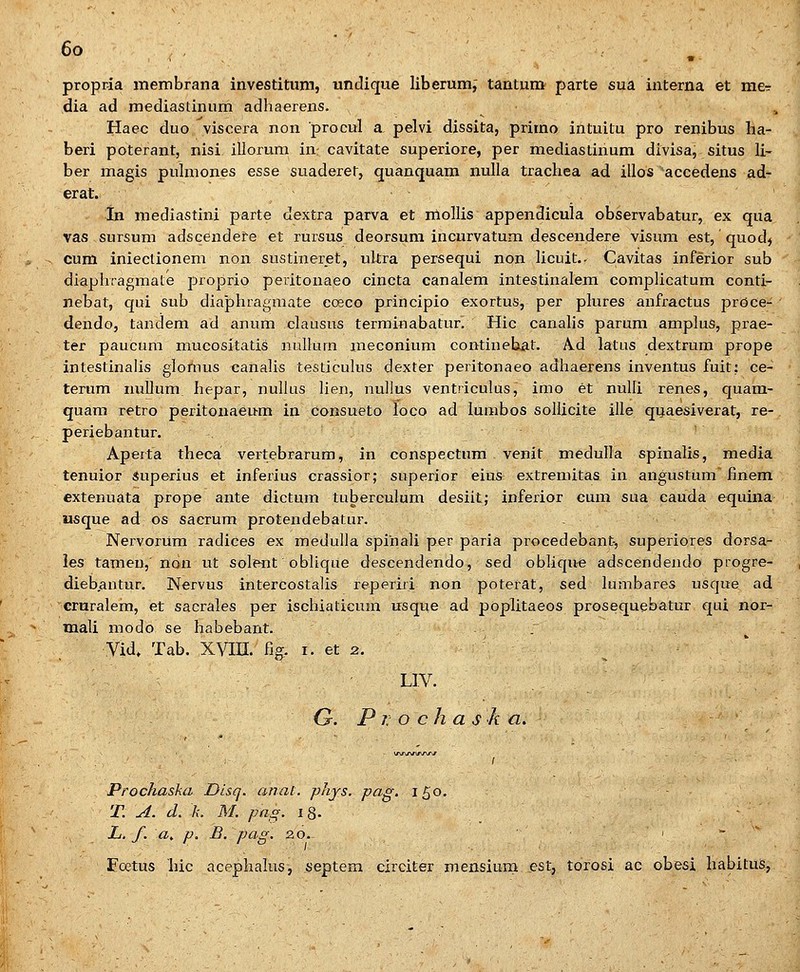 propria membrana investitum, undique liberum,' tantum parte sua interna et me^ dia ad raediastinum adhaerens. Haec duo viscera non procul a pelvi dissita, primo intuitu pro renibus ha- beri poterant, nisi illorum in cavitate superiore, per mediastinum divisa, situs li- ber magis puhnones esse suaderet, quanquam nulla trachea ad illos accedens ad- erat. In mediastini parte dextra parva et mollis appendicula observabatur, ex qua vas sursum adscendefe et rursus deorsum incurvatum descendere visum est, quod, cum iniectionem non sustineret, ultra persequi non Hcuit.. Cavitas inferior sub diaphragmale proprio peritonaeo cincta canalem intestinalem complicatum conti- nebat, qui sub diaphragmate cceco pjrincipio exortus, per phires anfractus prOce- dendo, tandem ad anum clausus terminabatur. Hic canahs parum amplus, prae- ter paucura mucositatis nulkirn meconium continebat. Ad latus dextrum prope intestinahs glomus canahs testiculus dexter peritonaeo adhaexens inventus fuit: ce- terum nuDum. hepar, nuhus hen, nullus ventriculus, imo et nulh renes, quam- quam retro peritonaeum in consueto loco ad lumbos soIUcite ille quaesiverat, re- periebantur. Aperta theca vertebrarum, in conspectum venit medulla spinalis, media tenuior superius et inferius crassior; superior eius extreniitas in angustum finem extenuata prope ante dictum tuberculum desiit; inferior cum sua eauda equina «sque ad os sacrum protendebatur. NervorUm radices ex medulla spinali per paria procedebant, superiores dorsa- les tamen, non ut soleirt oblique descendendo, sed oblique adscendeado progre- diebantur. Nervus intercostalis reperiii non poterat, sed lumbares usque ad cruralem, et sacrales per iscbiaticum usque ad poplitaeos prosequebatur qui nor- mali modo se habebant. . Vid» Tab. XVm.' fig. i. et 2. LIV. G. P 7. o c h a s k a. Prochaska Disq. anal. phjs. pag. 150. T. A. d. k. M. pag. 18- . ■ L. f. a^ p. B. pag. 2,0. ' 1 -  Eo2tus hic acephalus, septem circiter mensium est, torosi ac obesi habitus,