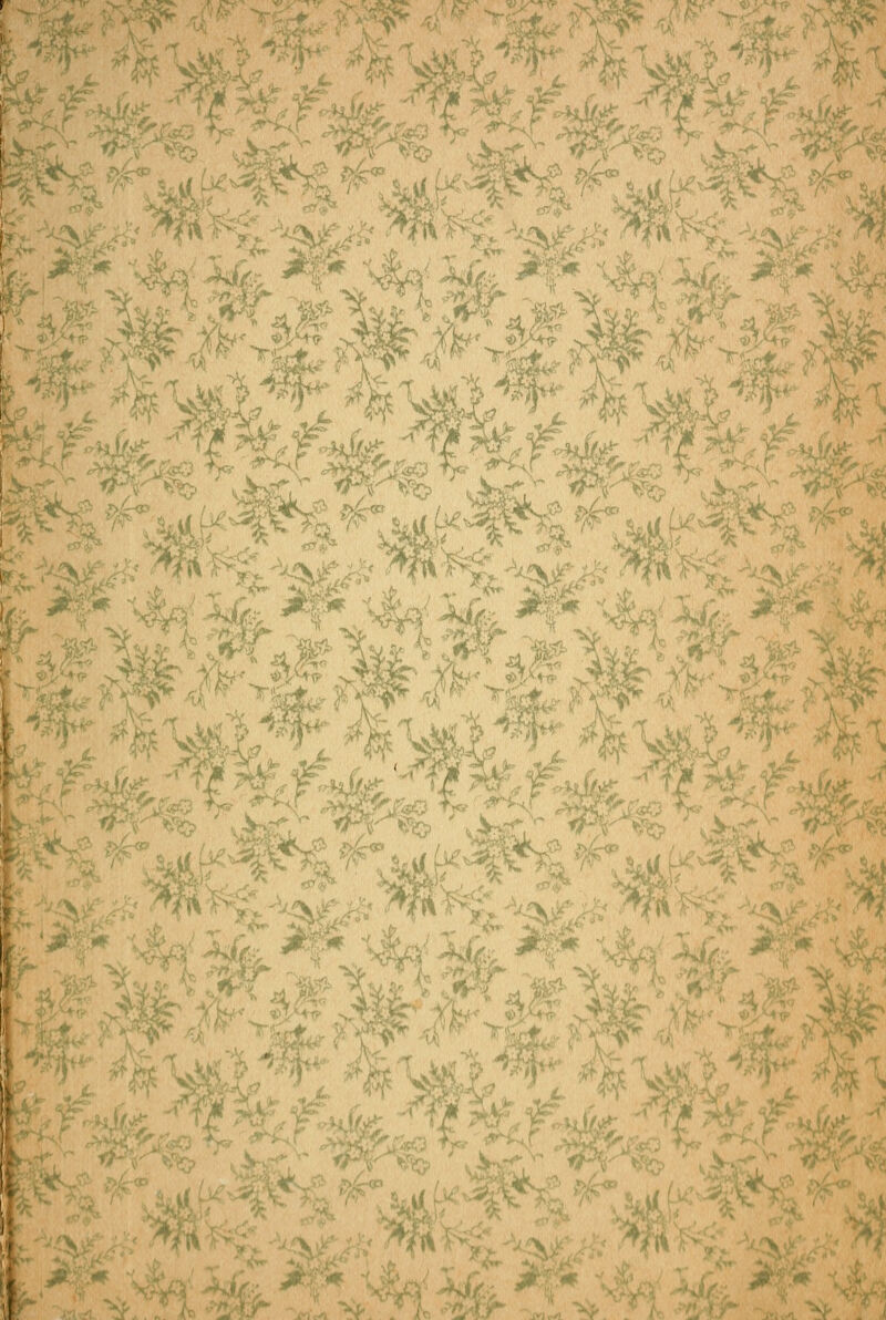 L. #\# •/>A t ^; S>P^ ,^. '>= ■^^%r I.' '>J .^ •t' .i ->,^ ^ ..vi?fe. 1 'jT^ f^ ';<P- .ii 1^ .^'•,