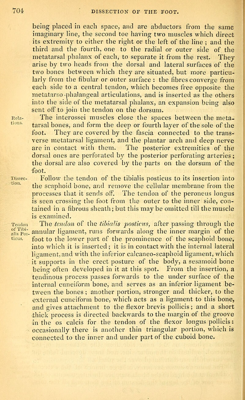 being placed in each space, and are abductors from the same imaginary line^ the second toe having two muscles which direct its extremity to either the right or the left of the line ; and the third and the fourth, one to the radial or outer side of the metatarsal phalanx of each, to separate it from the rest. They arise by two heads from the dorsal and lateral surfaces of the two bones between which they are situated, but more particu- larly from the fibular or outer surface : the fibres converge from each side to a central tendon^ which becomes free opposite the metatarso-phalangeal articulations, and is inserted as the others into tlie side of the metatarsal phalanx, an expansion being also sent oif to join the tendon on the dorsum. Kola- The interossei muscles close the spaces between the meta- '^'' tarsal bones, and form the deep or fourth layer of the sole of the foot. They are covered by the fascia connected to the trans- verse metatarsal ligament, and the plantar arch and deep nerve are in contact with them. The posterior extremities of the dorsal ones are perforated by the posterior perforating arteries; the dorsal are also covered by the parts on the dorsum of the foot. T>issec- Follow the tendon of the tibialis posticus to its insertion into ''■ the scaphoid bone, and remove the cellular inembrane from the processes that it sends off. The tendon of the peroneus longus is seen crossing tlie foot from the outer to the inner side, con- tained in a fibrous sheath; but this may be omitted till the muscle is examined. Tendon The tendon of the tibialis posticus, after passing through the ak^Pos- annular ligament, runs forwards along the inner margin of the ticus. foot to the lower part of the prominence of the scaphoid bone, into which it is inserted; it is in contact with the internal lateral ligament, and with the inferior calcaneo-scaphoid ligament, which it supports in the erect posture of the body, a sesamoid bone being often developed in it at this spot. From the insertion, a tendinous process passes forwards to the under surface of the internal cuneiform bone, and serves as an inferior ligament be- tween the bones ; another portion, stronger and thicker^ to the external cuneiform bone, which acts as a ligament to this bone, and gives attachment to the flexor brevis pollicis; and a short ihick process is directed backwards to the margin of the groove in the os calcis for the tendon of the flexor longus pollicis: occasionally there is another thin triangular portion, which is connected to the inner and under part of the cuboid bone.