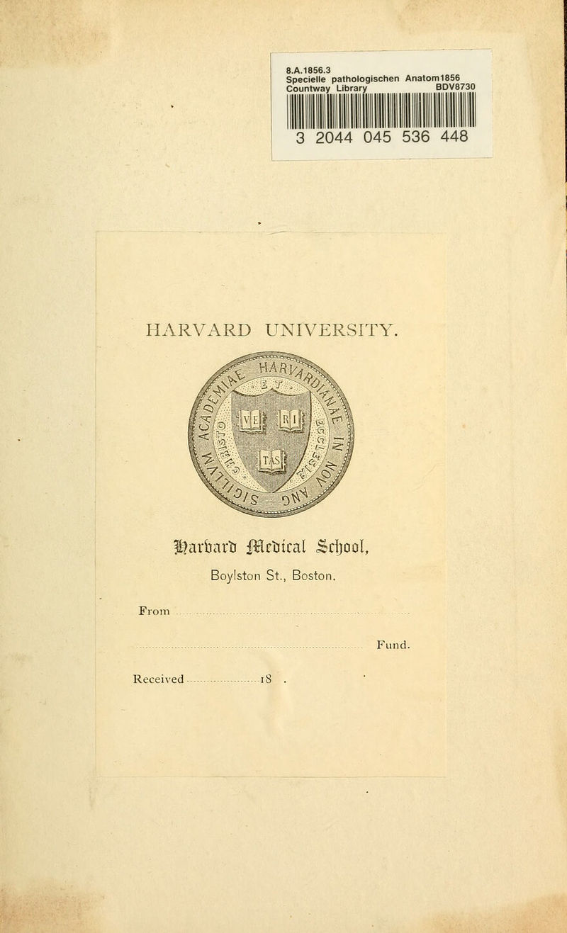 8.A.1856.3 Specielle pathologischen Anatom1856 Countway Library BDV8730 3 2044 045 536 448 HARVARD UNIVERSITY. P?aitarti JIrtrical Sdjool, Boylston St., Boston. From Fund. Received 18