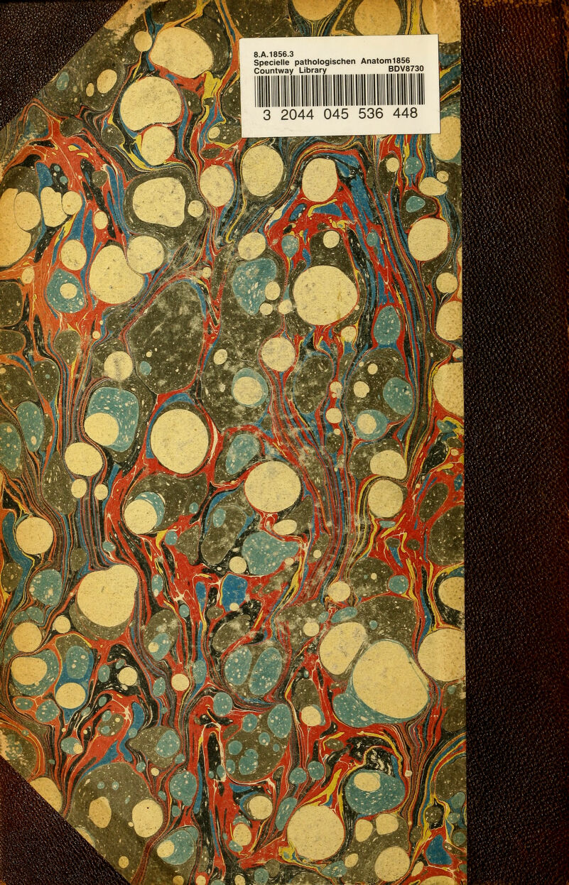 Specielle pathologischen Anatom 1856 Countway Library BDV8730 3 2044 045 536 448 ■■ ÄiM