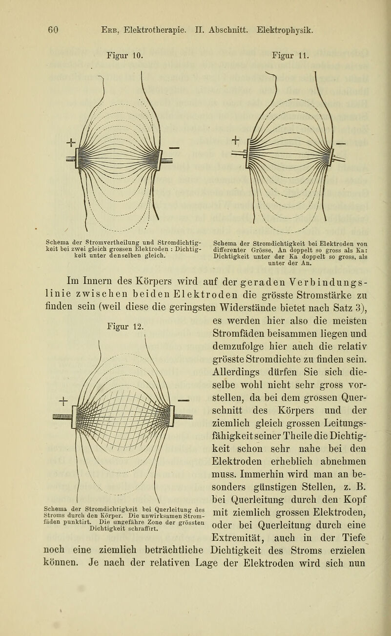 Figur 10. Figur 11. Schema der Stromvertlieilung und Stromdichtig- keit bei zwei gleich grossen Elektroden : Dichtig- keit unter denselben gleich. Schema der Stromdichtigkeit bei Elektroden von differenter Grösse, An doppelt so gross als Ka: Dichtigkeit unter der Ka doppelt so gross, als unter der An. Im Innern des Körpers wird auf der g e r a d e n V e r b i n d u n g s - linie zwischen beiden Elektroden die grösste Stromstärke zu finden sein (weil diese die geringsten Widerstände bietet nach Satz 3), p,. es werden hier also die meisten Stromfäden beisammen liegen und demzufolge hier auch die relativ grösste Stromdichte zu finden sein. Allerdings dürfen Sie sich die- selbe wohl nicht sehr gross vor- stellen, da bei dem grossen Quer- schnitt des Körpers und der ziemlich gleich grossen Leitungs- fähigkeit seiner Theile die Dichtig- keit schon sehr nahe bei den Elektroden erheblich abnehmen muss. Immerhin wird man an be- sonders günstigen Stellen, z. B. bei Querleitung durch den Kopf mit ziemlich grossen Elektroden, oder bei Querleitung durch eine Extremität, auch in der Tiefe noch eine ziemlich beträchtliche Dichtigkeit des Stroms erzielen können. Je nach der relativen Lage der Elektroden wird sich nun Schema der Stromdichtigkeit bei Querleitung des Stroms durch den Körper. Die unwirksamen Strom- fäden punktirt. Die ungefähre Zone der grössten Dichtigkeit schraflFirt.