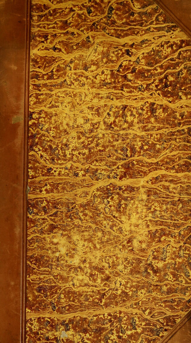 No text description is available for this image