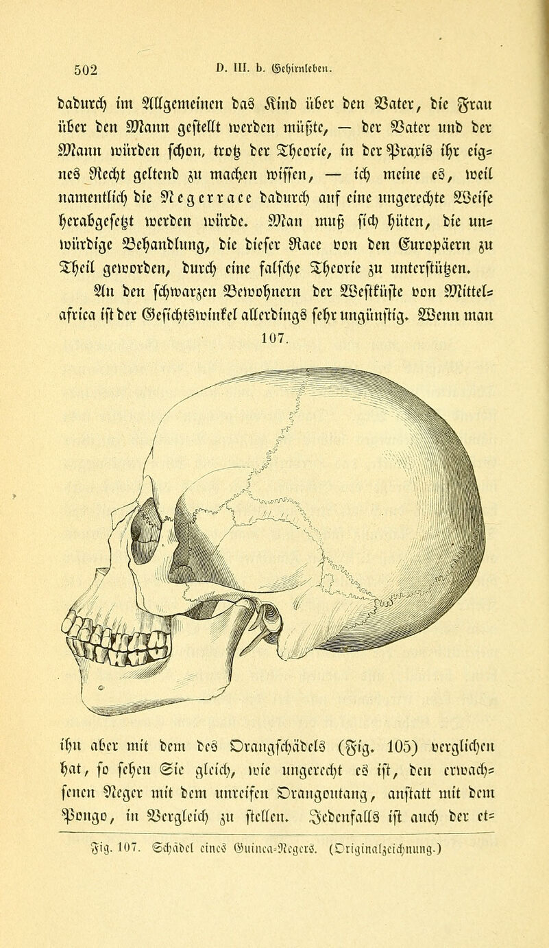 baburdj im Sttfgememen ba3 Äinb üfcer ben S3ater, bic ^rau üfcr bcn Sftann geftettt werben rnüfüte, — ber SSatcr unb ber SJlaan würben fcfyon, trofj ber S^eorie, in ber $|3rari3 fyx eig« ncä Sftecfyt geltenb ju machen nnffen, — id) meine eS, meil namentlich bie Sftcgcrrace baburd? auf eine ungeredjte äöeife ^crafcgefetjt werben lpürbe. SDlan mu§ fiefy Ritten, tu uns mürbige 33c$anbhmg, bic biefer SRace bon ben (Europäern ju S^eit geworben, burdj eine falfcfye %f;eorie jn untcrftüfjem Stn ben fcfytoar^cn SSciuoljncrn ber SBeftfüfle bcn Mittels afvica ift ber ©eft'djtStmnfel aflerbiugä fetjr ungünjh'g* SBenn man 107. fljii afccr mit bem tc$ Drangfrf)abcl3 (g-ig. 105) ücrgltdjcu fyat, fo fet;cn (Sie gteid), wie ungcrcd)t c§ tjt, ben erwachs fenen Sieger mit bem unreifen Drangoutang, anstatt mit bem ^3ougo, in Sßcrgteitf) 51t [teilen, ^ebenfalls ift anrf) ber et* ftig. 107. <5d)äbcl etncS ®uinca=0?egerg. (OrHjtnatjci^nung.)