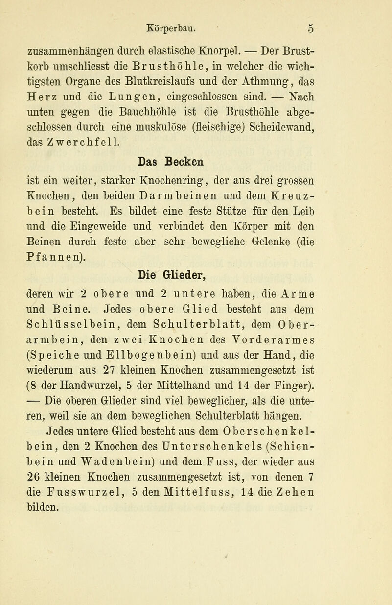 zusammenhängen durch elastische Knorpel. — Der Brust- korb umschliesst die Brusthöhle, in welcher die wich- tigsten Organe des Blutkreislaufs und der Athmung, das Herz und die Lungen, eingeschlossen sind. — Nach unten gegen die Bauchhöhle ist die Brusthöhle abge- schlossen durch eine muskulöse (fleischige) Scheidewand, das Zwerchfell. Das Becken ist ein weiter, starker Knochenring, der aus drei grossen Knochen, den beiden Darmbeinen und dem Kreuz- bein besteht. Es bildet eine feste Stütze für den Leib und die Eingeweide und verbindet den Körper mit den Beinen durch feste aber sehr bewegliche Gelenke (die Pfannen). Die Glieder, deren wir 2 obere und 2 untere haben, die Arme und Beine. Jedes obere Glied besteht aus dem Schlüsselbein, dem Schulterblatt, dem Ober- armbein, den zwei Knochen des Vorderarmes (Speiche und Ellbogenbein) und aus der Hand, die wiederum aus 27 kleinen Knochen zusammengesetzt ist (8 der Handwurzel, 5 der Mittelhand und 14 der Finger). — Die oberen Glieder sind viel beweglicher, als die unte- ren, weil sie an dem beweglichen Schulterblatt hängen. Jedes untere Glied besteht aus dem Oberschenkel- bein, den 2 Knochen des Unterschenkels (Schien- bein und Wadenbein) und dem Fuss, der wieder aus 26 kleinen Knochen zusammengesetzt ist, von denen 7 die Fusswurzel, 5 den Mittelfuss, 14 die Zehen bilden.