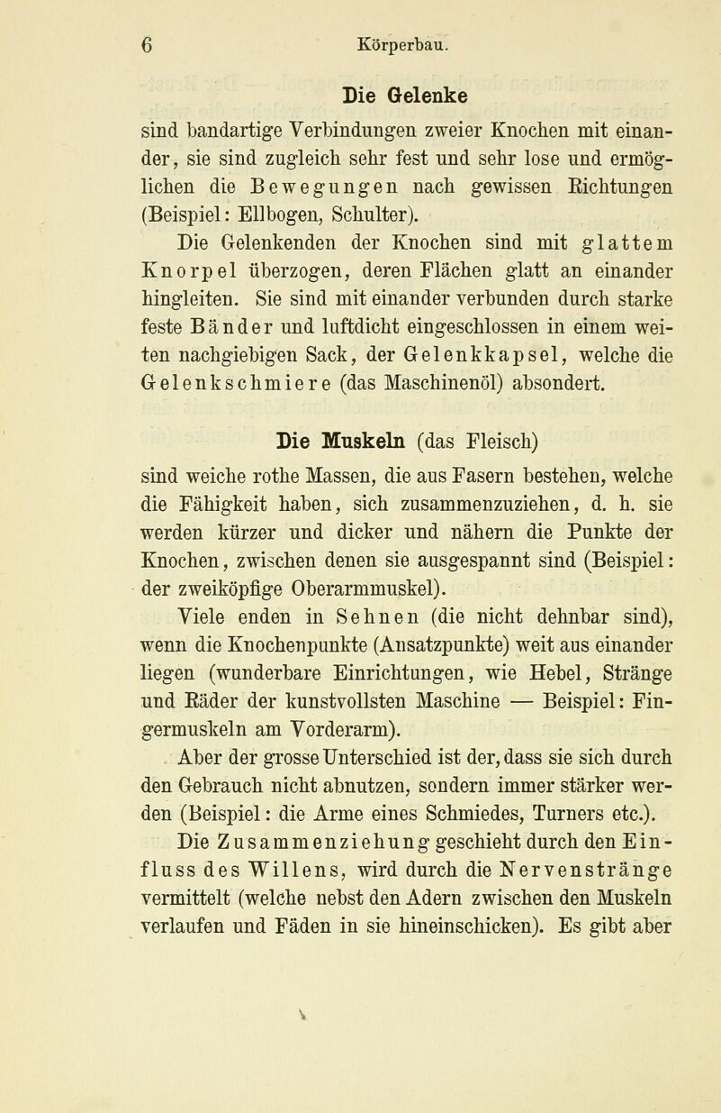 Die Gelenke sind bandartige Verbindungen zweier Knochen mit einan- der, sie sind zugleich sehr fest und sehr lose und ermög- lichen die Bewegungen nach gewissen Eichtungen (Beispiel: Ellbogen, Schulter). Die Gelenkenden der Knochen sind mit glattem Knorpel überzogen, deren Flächen glatt an einander hingleiten. Sie sind mit einander verbunden durch starke feste Bänder und luftdicht eingeschlossen in einem wei- ten nachgiebigen Sack, der Gelenkkapsel, welche die Gelenkschmiere (das Maschinenöl) absondert. Die Muskeln (das Fleisch) sind weiche rothe Massen, die aus Fasern bestehen, welche die Fähigkeit haben, sich zusammenzuziehen, d. h. sie werden kürzer und dicker und nähern die Punkte der Knochen, zwischen denen sie ausgespannt sind (Beispiel: der zweiköpfige Oberarmmuskel). Viele enden in Sehnen (die nicht dehnbar sind), wenn die Knochenpunkte (Ansatzpunkte) weit aus einander liegen (wunderbare Einrichtungen, wie Hebel, Stränge und Eäder der kunstvollsten Maschine — Beispiel: Fin- germuskeln am Vorderarm). Aber der grosse Unterschied ist der, dass sie sich durch den Gebrauch nicht abnutzen, sondern immer stärker wer- den (Beispiel: die Arme eines Schmiedes, Turners etc.). Die Zusammenziehung geschieht durch den Ein- fluss des Willens, wird durch die Nervenstränge vermittelt (welche nebst den Adern zwischen den Muskeln verlaufen und Fäden in sie hineinschicken). Es gibt aber