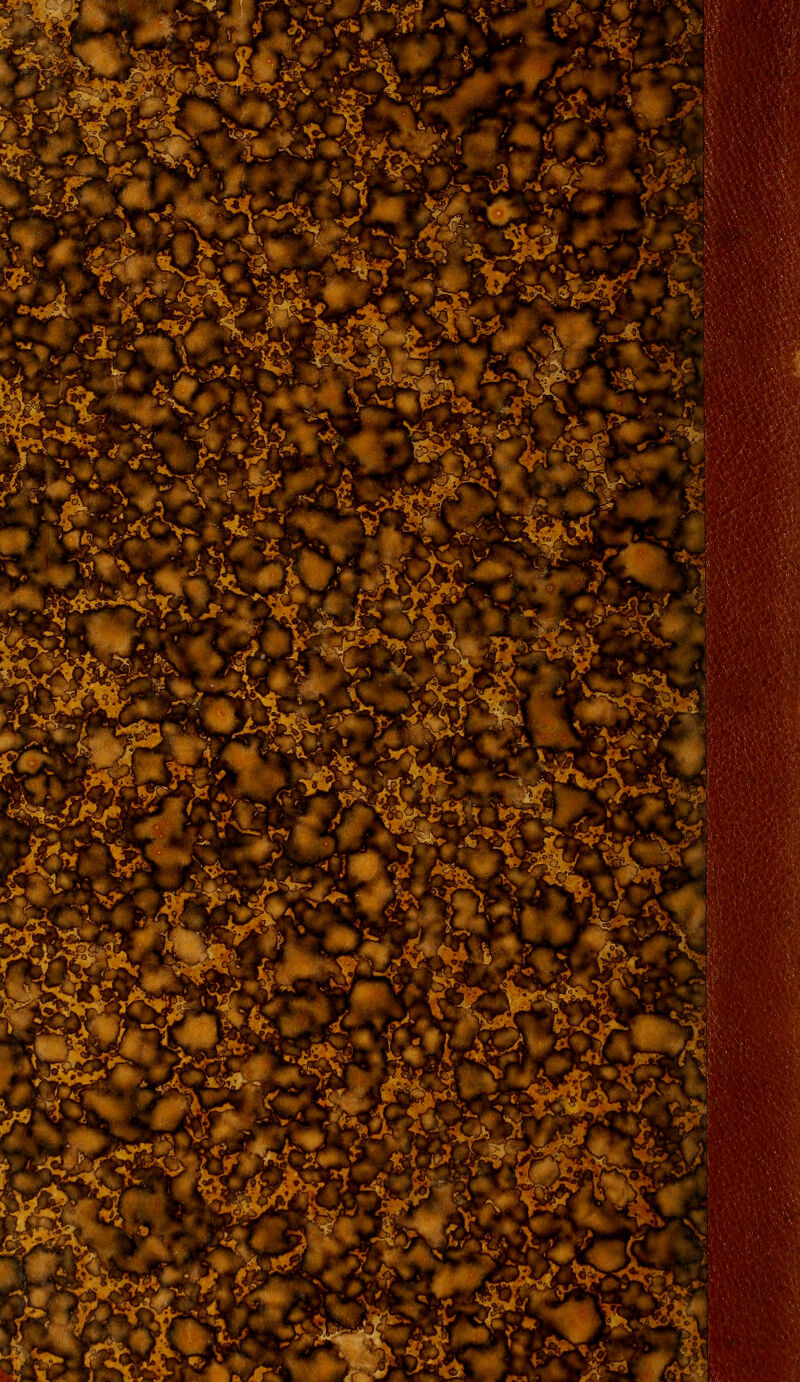 ^'a^?^;*'^.- ^ 3 «^ 'B£Sm ^m f'^l^^^ t- ' ^^' 3^^^ , ^i^ P^SisSSp^ I«^^ ^^¥^ -l^s^ ^^^Sfel f^^ ■m:^