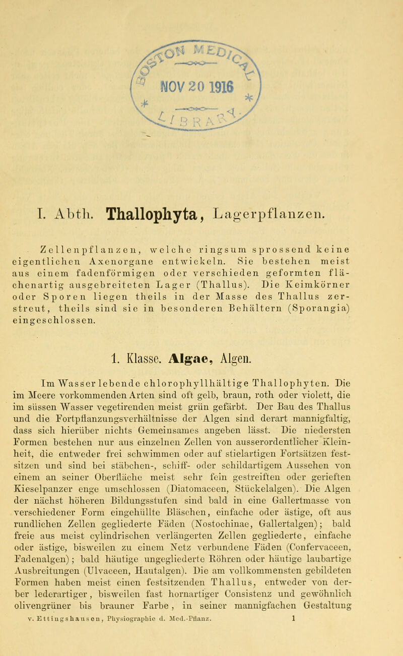 Zellen pflanzen, welche ringsum sprossend keine eigentlichen Axenorgane entwickeln. Sie bestehen meist aus einem fadenförmigen oder verschieden geformten flä- chenartig ausgebreiteten Lager (Thallus). Die Keimkörner oder Sporen liegen theils in der Masse des Thallus zer- streut, theils sind sie in besonderen Behältern (Sporangia) eingeschlossen. 1. Klasse. Algae, Algen. Im Wasser lebende chlorophyllhältige Thallophyten. Die im Meere vorkommenden Arten sind oft gelb, braun, roth oder violett, die im süssen Wasser vegetirenden meist grün gefärbt. Der Bau des Thallus und die Fortpflanzungsverhältnisse der Algen sind derart mannigfaltig, dass sich hierüber nichts Gemeinsames angeben lässt. Die niedersten Formen bestehen nur aus einzelnen Zellen von ausserordentlicher Klein- heit, die entweder frei schwimmen oder auf stielartigen Fortsätzen fest- sitzen und sind bei Stäbchen-, schiff- oder schildartigem Aussehen von einem an seiner Oberfläche meist sehr fein gestreiften oder gerieften Kieselpanzer enge umschlossen (Diatomaceen, Stückelalgen). Die Algen der nächst höheren Bildungsstufen sind bald in eine Gallertmasse von verschiedener Form eingehüllte Bläschen, einfache oder ästige, oft aus rundlichen Zellen gegliederte Fäden (Nostochinae, Gallertalgen); bald freie aus meist cylindrischen verlängerten Zellen gegliederte, einfache oder ästige, bisweilen zu einem Netz verbundene Fäden (Confervaceen, Fadenalgen) ; bald häutige ungegliederte Bohren oder häutige laubartige Ausbreitungen (Ulvaccen, Hautalgen). Die am vollkommensten gebildeten Formen haben meist einen festsitzenden Thallus, entweder von der- ber lederartiger, bisweilen fast hornartiger Consistenz und gewöhnlich olivengrüner bis brauner Farbe, in seiner mannigfachen Gestaltung v. Ettiugshaus eu , Pliysiograpbie d. Med.-Prtanz. 1