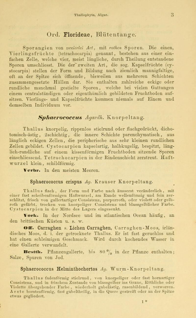Ord. Florideae, ßliltentange. Sporangien von zweierlei Art, mit rothen .Sporen. Die einen, Yierlingsfrüclite (tetraehocarpia) genannt, bestehen aus einer ein- fachen Zelle, welche vier, meist längliche, durch Theilung entstandene »Sporen umschliesst. Die derzweiten Art, die sog. Kapselfrüchte (cy- stocarpia) stellen der Form und Uildung nach ziemlich mannigfaltige, oft an der Spitze sich öffnende, bisweilen aus mehreren Schichten zusammengesetzte Hüllen dar. Sie enthalten zahlreiche eckige oder rundliche manchmal gestielte Sporen, welche bei vielen Gattungen einem centralständigen oder eigenthümlich gebildeten Fruchtboden auf- sitzen. Yierlings- und Kapselfrüchte kommen niemals auf Einem und demselben Individuum vor. Sphaerococcus Agardh. Knorpeltang. Thallus knorpelig, rippenlos stielrund oder flachgedrückt, dicho- tomisch-ästig, 2schichtig, die innere Schichte parenehymatisch, aus länglich eckigen Zellen, die peripherische aus sehr kleinen rundlichen Zellen gebildet. Cystocarpien kapselartig, halbkugelig, bespitzt, läng- lich-rundliche auf einem kissenförmigen Fruchtboden sitzende Sporen einschliessend. Tetrachocarpien in der Rindenschicht zerstreut. Haft- wurzel klein, schildförmig. Verbr. In den meisten Meeren. Sphaerococcus crispus Ag. Krauser Knorpeltang. Thallus flach, der Form und Farbe nach äusserst veränderlich, mit einer fast scheibenförmigen Haftwurzel, am Eande wellenförmig und fein zer- schlitzt, frisch von gallertartiger Consistenz, purpurroth, oder violett oder gelb- roth gefärbt, trocken von knorpeliger Consistenz und blassgelblicher Farbe. Cystocarpien in der Mitte des Lagers eingesenkt. York. In der Xordsee und im atlantischen Ocean häufig, an den brittischen Küsten u. s. w. Off. Carraghen s. Liehen Carraghen, Carraghen-Moos, irlän- disches Moos, d. i. der getrocknete Thallus. Er ist fast geruchlos und hat einen schleimigen Geschmack. Wird durch kochendes Wasser in eine Gallerte verwandelt. Besttli. Pflanzengallerte, bis SO °/0 in der Pflanze enthalten; Salze, Spuren von Jod. Sphaerococcus Helminthochortos Ag. Wurm-Knorpeltang. Thallus fadenförmig stielrund. von knorpeliger oder fast hornartiger Consistenz. und in frischem Zustande von blassgelber ins Graue, Röthliche oder Violette übergehender Farbe, wiederholt gabelästig, rasenbildend, verworren. Aeste borstenförmig, fast gabeltheilig, in die Quere gestreift oder an der Spitze etwas sregdiedert.