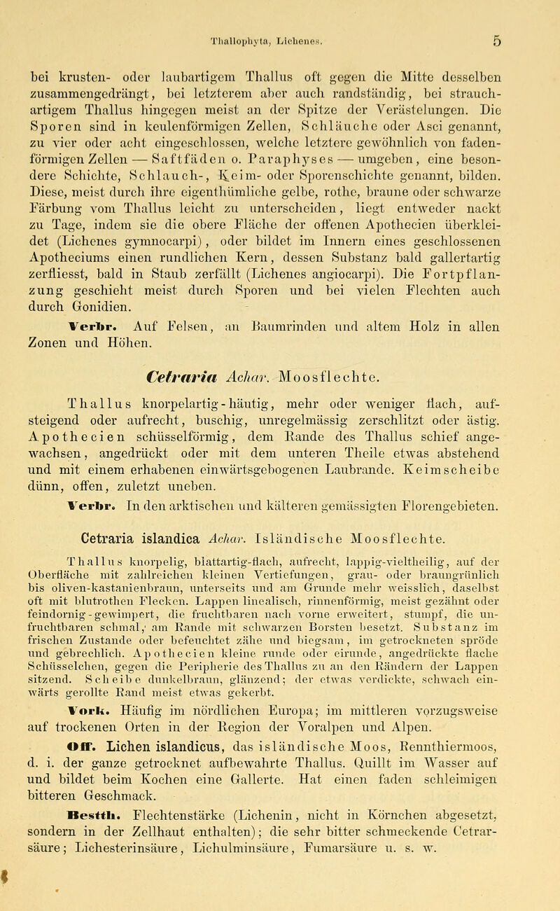 bei krusteu- oder laubartigem Thal Ins oft gegen die Mitte desselben zusammengedrängt, bei letzterem aber auch randständig, bei strauch- artigem Thallus hingegen meist an der Spitze der Verästelungen. Die Sporen sind in keulenförmigen Zellen, Schläuche oder Asci genannt, zu vier oder acht eingeschlossen, welche letztere gewöhnlich von faden- förmigen Zellen— Saftfäden o. Paraphyses — umgeben, eine beson- dere Schichte, Schlauch-, K_eim- oder Sporenschichte genannt, bilden. Diese, meist durch ihre eigenlliümliche gelbe, rothe, braune oder schwarze Färbung vom Thallus leicht zu unterscheiden, liegt entweder nackt zu Tage, indem sie die obere Fläche der offenen Apothecien überklei- det (Lichenes gymnocarpi), oder bildet im Innern eines geschlossenen Apotheciums einen rundlichen Kern, dessen Substanz bald gallertartig zerfiiesst, bald in Staub zerfällt (Lichenes angiocarpi). Die Fortpflan- zung geschieht meist durch Sporen und bei vielen Flechten auch durch Gonidien. Verbr. Auf Felsen, an Baumrinden und altem Holz in allen Zonen und Höhen. Cetraria, Achar. Moos flechte. Thallus knorpelartig - häutig, mehr oder weniger flach, auf- steigend oder aufrecht, buschig, unregelmässig zerschlitzt oder ästig. Apothecien schüsseiförmig, dem Rande des Thallus schief ange- wachsen , angedrückt oder mit dem unteren Theile etwas abstehend und mit einem erhabenen einwärtsgebogenen Laubrande. Keimscheibe dünn, offen, zuletzt uneben. Verl»r. In den arktischen und kälteren gemässigten Florengebieten. Cetraria islandica Achar. Isländische Moos flechte. Thallus knorpelig, blattartig-flach, aufrecht, lappig-vieltheilig, auf der Oberfläche mit zahlreichen kleinen Vertiefungen, grau- oder braungrünlich bis oliven-kastanienbraun, unterseits und am Grunde mehr weisslich, daselbst oft mit blutrothen Flecken. Lappen linealisch, rinnenförmig, meist gezähnt oder feindornig-gewimpert, die fruchtbaren nach vorne erweitert, stumpf, die un- fruchtbaren schmal,' am Rande mit schwarzen Borsten besetzt. Substanz im frischen Zustande oder befeuchtet zähe und biegsam, im getrockneten spröde und gebrechlich. Apothecien kleine runde oder eirunde, angedrückte flache Schüsselchen, gegen die Peripherie des Thallus zu an den Rändern der Lappen sitzend. Scheibe dunkelbraun, glänzend; der etwas verdickte, schwach ein- wärts gerollte Rand meist etwas gekerbt. Vork. Häufig im nördlichen Europa; im mittleren vorzugsweise auf trockenen Orten in der Region der Yoralpen und Alpen. Off. Liehen islandicus, das isländische Moos, Rennthiermoos, d. i. der ganze getrocknet aufbewahrte Thallus. Quillt im Wasser auf und bildet beim Kochen eine Gallerte. Hat einen faden schleimigen bitteren Geschmack. Besttli. Flechtenstärke (Lichenin, nicht in Körnchen abgesetzt, sondern in der Zellhaut enthalten); die sehr bitter schmeckende Cetrar- säure; Lichesterinsäure, Lichulminsäure, Fumarsäure u. s. w.