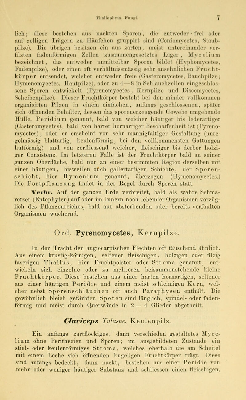 lieh; diese bestehen aus aackten Sporen, die entweder • frei oder auf zelligen Trägern zu Häufchen gruppirl Bind (Coniomyoetes, Staub- pilze). Die übrigen besitzen ein aus zarten, meist untereinander ver- filzten fadenförmigen /eilen zusammengesetztes Lager, Mycelium bezeichnet, das entweder unmittelbar Sporen bildet (Hyphomyceti . Fadenpilze), oder einen ofl verhältnissmässig sehr ansehnlichen Frucht- körper entsendet, welcher entweder freie (Gasteromycetes, Bauchpilze; Eymenomycetes, Hautpilze), oder zu l 8 in Schlauchzellen eingeschlos- sene Sporen entwickeil (Pyrenomycetes, Kernpilze and Discomycetes, Scheibenpilze). Dieser Fruchtkörper besteht bei den minder vollkommen organisirten Pilzen in einem einfachen, anfangs geschlossenen, später sicli öffnenden Behälter, dessen das sporenerzeugende Gewebe umgebende nulle, Pcridium genannt, bald von weicher häutiger bis lederartiger (Gasteromycetes), bald von harter hornartiger Beschaffenheit ist (Pyreno- mycetes); oder er erscheint von sehr mannigfaltiger Gestaltung (unre- gelmässig blattartig, keulenförmig, bei den vollkommensten Gattungen liutförmig) und von zertiiessend weicher, fleischiger bis derber holzi- ger Consistenz. Im letzteren Falle ist der Fruchtkörper bald an seiner ganzen Oberfläche, bald nur an einer bestimmten Region derselben mit einer häutigen, bisweilen auch gallertartigen Schichte, der Sporen- schicht, hier Hymenium genannt, überzogen. (Hymenomycetes.) Die Fortpflanzung findet in der Regel durch Sporen statt. Verbr. Auf der ganzen Erde verbreitet, bald als wahre Schma- rotzer (Entophyten) auf oder im Innern noch lebender Organismen vorzüg- lich des Pflanzenreiches, bald auf absterbenden oder bereits verfaulten Organismen wuchernd. Ord, Pyrenomycetes, Kernpilze. In der Tracht den angiocarpischen Flechten oft täuschend ähnlich. Aus einem krustig-körnigen, seltener fleischigen, holzigen oder filzig faserigen Thallus, hier Fruchtpolster oder Stroma genannt, ent- wickeln sich einzelne oder zu mehreren beisammenstehende kleine Fruchtkörper. Diese bestehen aus einer harten hornartigen, seltener aus einer häutigen Peridie und einem meist schleimigen Kern, wel- cher nebst Sporenschläuchen oft auch Paraphysen enthält. Die geAvöhnlich bleich gefärbten Sporen sind länglich, spindel- oder faden- förmig und meist durch Querwände in 2 — 4 Glieder abgetheilt. Claviceps Tulasne. Keulenpilz. Ein anfangs zartflockiges, dann verschieden gestaltetes Myce- lium ohne Perithecien und Sporen; im ausgebildeten Zustande ein stiel- oder keulenförmiges Stroma, welches oberhalb die am Scheitel mit einem Loche sich öffnenden kugeligen Fruchtkörper trägt. Diese sind anfangs bedeckt, dann nackt, bestehen aus einer Peridie von mehr oder weniger häutiger Substanz und schliessen einen fleischigen,