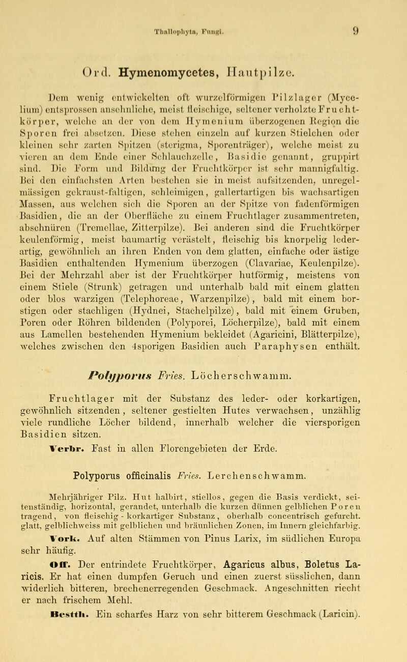TbaUopbyta, im. , Ortl. Hymenomycetes, Eautpilze. Dem wenig entwickelten oft wurzeiförmigen Pilzlager (Myce- limiii entsproBBen ansehnliche, meist fleischige, seltener verholzte Frncht- körper, welche an der von dem Hymenium überzogenen Region die Sporen frei absetzen. Diese, stehen einzeln auf kurzen Stielchen oder kleinen sehr zarten Spitzen (sterigma, Sporenträger), welche meist zu vieren an «lern Ende einer Schlauchzelle, Basidie genannt, gruppirl sind. Die Form und Bildung der Fruchtkörper ist sehr mannigfaltig. Bei den einfachsten Arten bestehen sie in meist aufsitzenden, anregel- mässigen gekraust-faltigen, schleimigen, gallertartigen bis wachsartigen Blassen, aus welchen sich die Sporen an der Spitze von fadenförmigen Basidien, die an der Oberfläche zu einem Fruchtlager zusammentreten, abschnüren (Tremellae, Zitterpilze). Bei anderen sind die Fruchtkörper keulenförmig, meist baumartig verästelt, fleischig bis knorpelig leder- artig, gewöhnlich an ihren Enden von dem glatten, einfache oder ästige Basidien enthaltenden Hymenium überzogen (Clavariae, Keulenpilze). Bei der Mehrzahl aber ist der Fruchtkörper hutförmig, meistens von einem Stiele (Strunk) getragen und unterhalb bald mit einem glatten oder blos warzigen (Telephoreae, Warzenpilze), bald mit einem bor- stigen oder stachligen (Hydnei, Stachelpilze), bald mit einem Gruben, Poren oder Bohren bildenden (Polyporei, Löcherpilze), bald mit einem aus Lamellen bestehenden Hymenium bekleidet (Agaricini, Blätterpilze), welches zwischen den 4sporigen Basidien auch Paraphysen enthält. Polyporus Fries. Löcherschwamm. Fruchtlager mit der Substanz des leder- oder korkartigen, gewöhnlich sitzenden , seltener gestielten Hutes verwachsen, unzählig viele rundliche Löcher bildend, innerhalb welcher die viersporigen Basidien sitzen. Verlir. Fast in allen Florengebieten der Erde. Polyporus officinalis Fries. Lerchenschwamm. Mehrjähriger Pilz. Hut halbirt, stiellos, gegen die Basis verdickt, sei- tenständig, horizontal, gerandet, unterhalb die kurzen dünnen gelblichen Poren tragend, von fleischig - korkartiger Substanz, oberhalb concentrisch gefurcht, glatt, gelblicfnveiss mit gelblichen und bräunlichen Zonen, im Innern gleichfarbig. l orit. Auf alten Stämmen von Pinus Larix, im südlichen Europa sehr häufig. Off. Der entrindete Fruchtkörper, Agaricus albus, Boletus La- ricis. Er hat einen dumpfen Geruch und einen zuerst süsslichen, dann widerlich bitteren, brechenerregenden Geschmack. Angeschnitten riecht er nach frischem Mehl. Besttli. Ein scharfes Harz von sehr bitterem Geschmack (Laricin).
