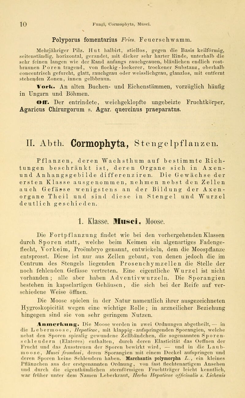 Polyporus fomentarhis Fries. Feuer schwamm. Mehrjähriger Pilz. Hut halbirt, stiellos, gegen die Basis keilförmig, seitenständig, horizontal, gcrandet, mit dicker sehr harter Rinde, unterhalb die sehr feinen langen wie der Eand anfangs rauchgrauen, bläulichen endlich rost- braunen Poren tragend, von flockig-lockerer, trockener Substanz, oberhalb concentrisch gefurcht, glatt, rauchgrau oder weisslickgrau, glanzlos, mit entfernt stehenden Zonen, innen gelbbraun. Vork. An alten Buchen- und Eichenstämmen, vorzüglich häufig in Ungarn und Böhmen. OJf. Der entrindete, weichgeklopfte ungeheizte Fruchtkörper, Agaricus Chirurgorum s. Agar, quercinus praeparatus. IL Abth. Cormophyta, Stengelpflanzen. Pflanzen, deren Wachsthum auf bestimmte Rich- tungen beschränkt ist, deren Organe sich in A x e n - und Anhangsgebilde differenziren. Die Gewächse der ersten Klasse ausgenommen, nehmen nebst den Zellen auch Gefässe wenigstens an der Bildung der Axen- organe Theil und sind diese in Stengel und Wurzel deutlich geschieden. 1. Klasse. Musci, Moose. Die Fortpflanzung findet wie bei den vorhergehenden Klassen durch Sporen statt, welche beim Keimen ein algenartiges Fadenge- flecht, Vorkeim, Proembryo genannt, entwickeln, dem die Moospflanze entsprosst. Diese ist nur aus Zellen gebaut, von denen jedoch die im Centrum des Stengels liegenden Prosenchymzellen die Stelle der noch fehlenden Gefässe vertreten. Eine eigentliche Wurzel ist nicht vorhanden; alle aber haben Adventivwurzeln. Die Sporangien bestehen in kapselartigen Gehäusen, die sich bei der Beife auf ver- schiedene Weise öffnen. Die Moose spielen in der Natur namentlich ihrer ausgezeichneten Hygroskopicität wegen eine wichtige Bolle ; in arzneilicher Beziehung hingegen sind sie von sehr geringem Nutzen. 7%iuncrliiiii££. Die Moose werden in zwei Ordnungen abgetheilt, ■— in die Lebermoose, Hepaticae, mit klappig-aufspringenden Sporangien, welche nebst den Sporen .spiralig gewundene Zellbändchen, die sogenannten Sporen- schleudem (Elfteres) enthalten, durch deren Elasticität das Oeffnen der l'p iidit und das Ausstreuen der Sporen bewirkt wird, — und in die Laub- moose, Musci frondosi, deren Sporangien mit einem Deckel aufspringen und deren Sporen keine Schleudern haben. Marchantia polymorpha L., ein kleines Pflanzchen /ins der erstgenannten Ordnung, von List Sechtenartigem Ansehen und durch die eigentümlichen sternförmigen FruchttrSger leicht kenntlich, war früher unter dem Namen Leberkraut, llerba Hepaticae officinalis s. Lichenis