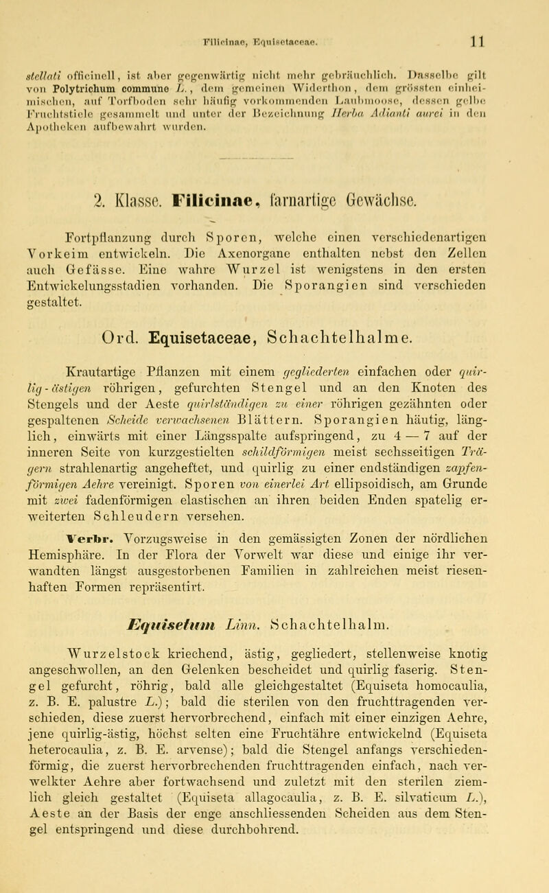 KUicIiuic, Ivpii i-lan-ai- stell at.! officinell, ist aber gegenwärtig uiclrl mehr gebräuchlich! Dasselbe gili von Polytrichum communo l<., dem gemeinet) Widerthon, dem grössten einhei mischen, auf Torfboden sehr häufig vorkommenden Lanbi se, dessen gelbe Fruchtstiele gesammelt und anter der Bezeichnung Herba Adianti aurei in den Apotheken aufbewahrt wurden. 2. Klasse. Filicinne, farnartige Gcwäclisc. Fortpflanzung durch Sporen, welche einen verschiedenartigen Vorkeim entwickeln. Die Axenorganc enthalten nebst den Zellen auch Gefässe. Eine wahre Wurzel ist wenigstens in den ersten Entwickelungsstadien vorhanden. Die Sporangien sind verschieden gestaltet, ♦ Ord. Equisetaceae, Schachtelhalme. Krautartige Pflanzen mit einem gegliederten einfachen oder quir- lig-ästigen röhrigen, gefurchten Stengel und an den Knoten des Stengels und der Aeste quirl ständigen zu einer röhrigen gezähnten oder gespaltenen Scheide verioachsencn Blättern. Sporangien häutig, läng- lich, einwärts mit einer Längsspalte aufspringend, zu 4 — 7 auf der inneren Seite von kurzgestielten schildförmigen meist sechsseitigen Trä- gern strahlenartig angeheftet, und quirlig zu einer endständigen zapfen- förmigen Aehre vereinigt. Sporen von einerlei Art ellipsoidisch, am Grunde mit zwei fadenförmigen elastischen an ihren beiden Enden spatelig er- weiterten Schleudern versehen. Terbr. Vorzugsweise in den gemässigten Zonen der nördlichen Hemisphäre. In der Flora der Vorwelt war diese und einige ihr ver- wandten längst ausgestorbenen Familien in zahlreichen meist riesen- haften Formen repräsentirt, Eqiiisefum Linn. Seh achte lha Im. Wurzelstock kriechend, ästig, gegliedert, stellenweise knotig angeschwollen, an den Gelenken bescheidet und quirlig faserig. Sten- gel gefurcht, röhrig, bald alle gleichgestaltet (Equiseta homocaulia, z. B. E. palustre L.); bald die sterilen von den fruchttragenden ver- schieden, diese zuerst hervorbrechend, einfach mit einer einzigen Aehre, jene quirlig-ästig, höchst selten eine Fruchtähre entwickelnd (Equiseta heterocaulia, z. B. E. arvense); bald die Stengel anfangs verschieden- förniig, die zuerst hervorbrechenden fruchttragenden einfach, nach ver- welkter Aehre aber fortwachsend und zuletzt mit den sterilen ziem- lich gleich gestaltet (Equiseta allagocaulia, z. B. E. silvaticum £..), Aeste an der Basis der enge anschliessenden Scheiden aus dem Sten- gel entspringend xmd diese durchbohrend.