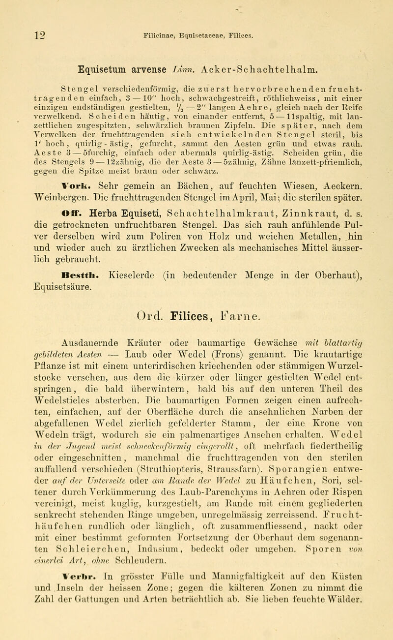 Equisetuni arvense Linn. Acker-Sehachtelhalm. Stengel verschiedenförmig, die zuerst hervorbrechenden f r u c h t- tragenden einfach, 3 — 10 hoch, schwachgestreift, röthlichweiss, mit einer einzigen endständigen gestielten, '/2 —2 langen Aehre, gleich nach der Reife verwelkend. Scheiden hantig, von einander entfernt, 5—llspaltig, mit lan- zettlichen zugespitzten, schwärzlich brannen Zipfeln. Die später, nach dem Verwelken der fruchttragenden sich entwickelnden Stengel steril, bis 1' hoch, quirlig - ästig, gefurcht, sammt den Aesten grün und etwas rauh. Aeste 3 — öfurchig, einfach oder abermals quirlig-ästig. Scheiden grün, die des Stengels 9 — 12zähnig, die der Aeste 3 — özähnig, Zähne lanzett-pfriemlich, gegen die Spitze meist braun oder schwarz. Vork. Sehr gemein an Bächen, auf feuchten Wiesen, Aeckern. Weinbergen. Die fruchttragenden Stengel im April, Mai; die sterilen später. Off. Herba Equiseti, Schachtelhalmkraut, Zinnkraut, d. s. die getrockneten unfruchtbaren Stengel. Das sich rauh anfühlende Pul- ver derselben wird zum Poliren von Holz und weichen Metallen, hin und wieder auch zu ärztlichen Zwecken als mechanisches Mittel äusser- lich gebraucht. Besttli. Kieselerde (in bedeutender Menge in der Oberhaut), Equisetsäure. Ord. Filices, Farne. Ausdauernde Kräuter oder baumartige Gewächse mit blattartig gebildeten Aesten — Laub oder Wedel (Prons) genannt. Die krautartige Pflanze ist mit einem unterirdischen kriechenden oder stämmigen Wurzel- stocke versehen, aus dem die kürzer oder länger gestielten Wedel ent- springen , die bald überwintern, bald bis auf den unteren Theil des Wedelstieles absterben. Die baumartigen Formen zeigen einen aufrech- ten, einfachen, auf der Oberfläche durch die ansehnlichen Narben der abgefallenen Wedel zierlicb gefelderter Stamm, der eine Krone von Wedeln trägt, wodurch sie ein palmenartiges Ansehen erhalten. Wedel in der Jugend meist schneckenförmig eingerollt, oft mehrfach fiedertheilig oder eingeschnitten, manchmal die fruchttragenden von den sterilen auffallend verschieden (Struthiopteris, Straussfarn). Sporangien entwe- der auf der Unterseite oder am. Rande, der Wedel zu Häufchen, Sori, sel- tener durch Verkümmerung des Laub-Parenchyms in Aehren oder Rispen vereinigt, meist kuglig, kurzgestielt., am Rande mit einem gegliederten senkrechl stellenden Ringe umgeben, unregelmässig zerreissend. Frucht- häufchen rundlich oder länglich, oft zusammenfliessend, nackt oder mit einer bestimml geformten Fortsetzung! der Oberhaut dem sogenann- ten Schleierchen, [ndusium, bedeckl oder umgeben. Sporen von einerlei Art, ohne Schleudern. 1 Vrlir. In grösster Fülle und Mannigfaltigkeit auf den Küsten und Inseln der lieissen Zone; gegen die kälteren Zonen zu nimmt die Zahl der (Jattungen und Arten beträchtlich ab. Sie lieben feuchte Wälder.
