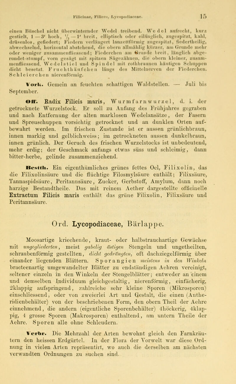 i'iii.iuar, Plllce . Lj copodlaceae I. > einen Büschel Dicht überwinternder Wedel treibend. Wedel aufrecht, kurz gestielt, l .'>' hoch, '/., 1' hrcit, elliptisch oder eilKnglich, zugespitzt, kahl, drüsenloB, gefiedert; Fiedern verlängert lanzettförmig zugespitzt, fiedertheilig, abwechselnd, horizontal abstehend, <li<' obern allmählig kürzer, am Grunde mehr oder weniger znsa enfliessend; Fiederchen am titrunde breit, länglich abge- rundet stumpf, vorn gesägt mit spitzen Sägezähnen, die <>Ihth kleiner, zusam- menfliessend, Wedelstiel und Spindel mit rothbraunen häutigen Schuppen dicht, besetzt, Fruchthäufchen längs des Mittelnerven der Fiederchen. Schi r i c r c li e d aierenförmig. %orii. Gemein an feuchten schattigen Waldstellen. — Juli bis September. «II'. Radix Filicis maris, Wurmfarnwurzel, <1. i. der getrocknete Wurzelstock. Er soll zu Anfang des Frühjahres gegraben and nach Entfernung der alten marklosen Wedelansätze, der Fasern und Spreuschuppen vorsichtig getrocknet und an dunklen Orten auf- bewahrt werden. Im frischen Zustande ist er aussen grünlichbraun, innen markig und gelblichweiss; im getrockneten aussen dunkelbraun, innen grünlich. Der Geruch des frischen Wurzelstocks ist unbedeutend, mehr erdig; der Geschmack anfangs etwas süss und schleimig, dann bitter-herbe, gelinde zusammenziehend. Besttli. Ein eigenthümliches grünes fettes Oel, Filixolin, das die Filixolinsäure und die flüchtige Filosmylsäure enthält; Filixsäure, Tannaspidsäurc, Peritannsäure, Zucker, Gerbstoff, Amylum, dann noch harzige Bestandteile. Das mit reinem Aether dargestellte officinelle Extractum Filicis maris enthält das grüne Filixolin, Filixsäure und Peritannsäure. Ord. Lycopodiaceae, Bärlappe. Moosartige kriechende, kraut- oder halbstrauchartige Gewächse mit ungegliederten, meist gabelig ästigen Stengeln und ungetheilten, schraubenförmig gestellten, dicht gedrängten, oft dacbziegelförmig über- einander liegenden Blättern. Sporangien meistens in den Winkeln bracteenartig umgewandelter Blätter zu endständigen Aehren vereinigt, seltener einzeln in den Winkeln der Stengelblätter; entweder an einem und demselben Individuum gleicbgestaltig, nierenförmig, einfächerig, 2klappig aufspringend, zahlreiche sehr kleine Sporen (Mikrosporen) einschliessend, oder von zweierlei Art und Gestalt, die einen (Anthe- ridienbehälter) von der beschriebenen Form, den obern Theil der Aehre einnehmend, die andern (eigentliche Sporenbehälter) -Ihöckerig, 4klap- pig, 4 grosse Sporen (Makrosporen) enthaltend, am untern Theile der Aehre. Sporen alle ohne Schleudern. Verbr. Die Mehrzahl der Arten bewohnt gleich den Farnkräu- tern den heissen Erdgürtel. In der Flora der Yorwelt war diese Ord- nung in vielen Arten repräsentirt, wo auch die derselben am nächsten verwandten Ordnungen zu suchen sind.