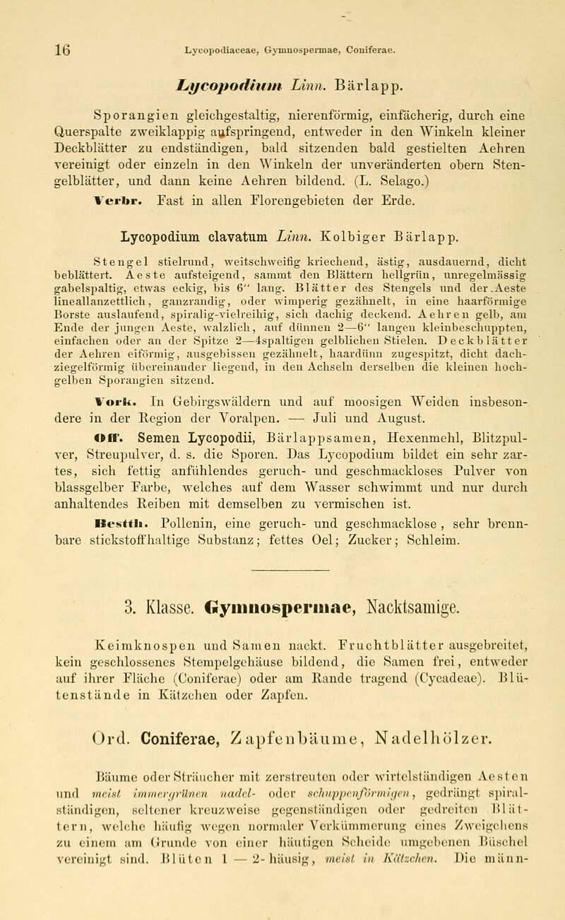 1(3 Lyeopodiaceae, Gymuospermae, Coniferae. Lycopodium Linn. Bärlapp. Sporangien gleichgestaltig, nierenförrnig, einfächerig, durch eine Querspalte zweiklappig aufspringend, entweder in den Winkeln kleiner Deckblätter zu endständigen, bald sitzenden bald gestielten Aehren vereinigt oder einzeln in den Winkeln der unveränderten obern Sten- gelblätter, und dann keine Aehren bildend. (L. Selago.) Verbr. Fast in allen Florengebieten der Erde. Lycopodium clavatum Linn. Kolbig er Bärlapp. Stengel stielrund, weitschweifig kriechend, ästig, ausdauernd, dicht beblättert. Aeste aufsteigend, sammt den Blättern hellgrün, unregelmässig gabelspaltig, etwas eckig, bis 6 lang. Blätter des Stengels und der.Aeste lineallanzettlich, ganzrandig, oder wimperig gezähnelt, in eine haarförmige Borste auslaufend, spiralig-vielreihig, sich dachig deckend. Aehren gelb, am Ende der jungen Aeste, walzlich, auf dünnen 2—6 laugen kleinbeschuppten, einfachen oder an der Spitze 2—4spaltigen gelblichen Stielen. Deckblätter der Aehren eiförmig, ausgebissen gezähnelt, haardünn zugespitzt, dicht dach- ziegelförmig übereinander liegend, in den Achseln derselben die kleinen hoch- gelben Sporangien sitzend. Voi'k. Di Gebirgswäldern und auf moosigen Weiden insbeson- dere in der Region der Voralpen. — Juli und August, «ff. Semen Lycopodii, Bärlappsamen, Hexenmehl, Blitzpul- ver, Streupulver, d. s. die Sporen. Das Lycopodium bildet ein sehr zar- tes, sich fettig anfühlendes geruch- und geschmackloses Pulver von blassgelber Farbe, welches auf dem Wasser schwimmt und nur durch anhaltendes Reiben mit demselben zu vermischen ist. Uesttli. Pollenin, eine geruch- und geschmacklose , sehr brenn- bare stickstoffhaltige Substanz; fettes Oel; Zucker; Schleim. 3. Klasse. Gyiiinosperuiae, Nacktsamige, Keimknospen und Samen nackt. Fruchtblätter ausgebreitet, kein geschlossenes Stempelgehäuse bildend, die Samen frei, entweder auf ihrer Fläche (Coniferae) oder am Rande tragend (Cycadeae). Blü- tenstände in Kätzchen oder Zapfen. Ord. Coniferae, Zapfen bäume, Nadelhölzer. Bäume oder Sträucher mit zerstreuten oder wirtelständigen Aesten und meist hinncrt/rUinn iiudel- oder selmppenförmigen, gedrängt spiral- Btändigen, Beltener kreuzweise gegenständigen oder gedreiten I>1 al- tem, welche häufig wegen normaler Verkümmerung eines Zweigehens zu einem am Grunde von einer häutigen Scheide umgebenen Büschel