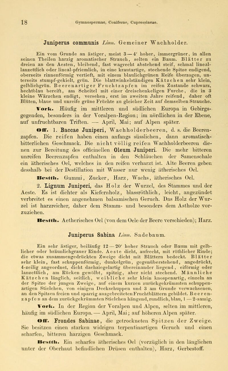 Juniperus communis Linn. Gemeiner Wachholder. Ein vom Grunde an ästiger, meist 3 — 4' hoher, immergrüner, in allen seinen Theilen harzig aromatischer Strauch, selten ein Baum. Blätter zu dreien an den Aesten, bleibend, fast wagrecht abstehend steif, schmal lineal- lanzettlich oder lineal-pfriemlich, in eine krautartige, stechende Spitze endigend, oberseits rinuenförmig vertieft, mit einem blaulichgrünen Reife überzogen, un- terseits stumpf-gekielt, grün. Die blattwinkelständigen Kätzchen sehr klein, gelblichgrün. Beerenartiger Fruchtzapfen im reifen Zustande schwarz, hechtblau bereift, am Scheitel mit einer dreischenkeligen Furche, die in 3 kleine Wärzchen endigt, versehen, erst im zweiten Jahre reifend, daher oft Blüten, blaue und unreife grüne Früchte zu gleicher Zeit auf demselben Strauche. Vork. Häufig im mittleren und südlichen Europa in Gebirgs- gegenden, besonders in der Voralpen-Region; im nördlichen in der Ebene, auf unfruchtbaren Triften. —■ April, Mai; auf Alpen später. Off. 1. Baccae Juniperi, Wachholderbeeren, d. s. die Beeren- zapfen. Die reifen haben einen anfangs süsslichen, dann aromatisch- bitterlichen Geschmack. Die nicht völlig reifen Wachholderbeeren die- nen zur Bereitung des officinellen Oleum Juniperi. Die mehr bitteren unreifen Beerenzapfen enthalten in den Schläuchen der Samenschale ein ätherisches Oel, welches in den reifen verharzt ist. Alte Beeren geben desshalb bei der Destillation mit Wasser nur wenig ätherisches Oel. ISesttli. Gummi, Zucker, Harz, Wachs, ätherisches Oel. 2. Lignum Juniperi, das Holz der Wurzel, des Stammes und der Aeste. Es ist dichter als Kiefernholz, blassröthlich, leicht, angezündet verbreitet es einen angenehmen balsamischen Geruch. Das Holz der Wur- zel ist harzreicher, daher dem Stamm- und besonders dem Astholze vor- zuziehen. Hesttli. Aetherisches Oel (von dem Oele der Beere verschieden); Harz. Juniperus Sabina Linn. Sadebaum. Ein sehr ästiger, beiläufig 12 — 20' hoher Strauch oder Baum mit gelb- licher oder bräunlichgrauer Rinde. Aeste dicht, aufrecht, mit röthlicher Rinde; die etwas zusammengedrückten Zweige dicht mit Blättern bedeckt. Blätter sehr klein, fast schuppenförmig, dunkelgrün, gegenüberstehend, angedrückt, 4-zeilig angeordnet, dicht dachziegelartig übereinander liegend , eiförmig oder lanzettlich, am Rücken gewölbt, spitzig, aber nicht stechend. Männliche Kätzchen länglich, seitlich, weibliche sehr klein knospenartig, einzeln an der Spitze der jungen Zweige, auf einem kurzen zurückgekrümmten schuppen- artigen Sticlchen, von einigen Deckschuppen und 3 am Grunde verwachsenen, an den Spitzen freien und sparrig ausgebreiteten Fruchtblättern gebildet. Beeren- zapfen an dem zurückgekrümmten Stielchen hängend, rundlich,blau, 1 —2-samig. York. In der Region der Voralpen und Alpen, selten im mittleren, häufig im südlichen Europa.— April, Mai; auf höheren Alpen später. Off. Frondes Sabinae, die getrockneten Spitzen der Zweige. Sie besitzen einen starken widrigen terpentinartigen Geruch und einen scharfen, bitteren harzigen Geschmack. Ilt'MiHi. Kin scharfes ätherisches Oel (vorzüglich in den Länglichen unter der Oberhaut befindlichen Drüsen enthalten), Harz, Gerbestoff.