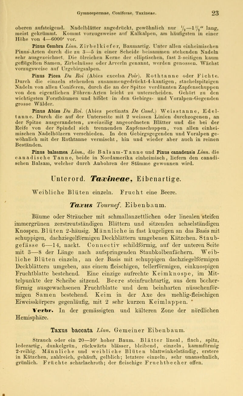 oberen aufsteigend. tfadelblfitter angedrückt, gewöhnlich qut '/,—l'/i lang, meist gekrümmt. Kommt vorzugsweise auf Kalkalpen, am liäufigsteu in einer Höhe von 4—6000' vor. Pinus Cembra Lina. Zirbelkiefer, Baumartig, tinter allen einheimischen Pinus-Arteil durch die ZU 3—6 in einer Scheide lieisammen stehenden Nadeln sehr ausgezeichnet. Di«1 erreichen Kerne der elliptischen, fasl 3-seitigen kaum geflügelten Samen, Zirbelnüsse oder Arverln genannt, werden genossen. Wächst vorzugsweise auf Urgebirgsalpen. Pinus Picea Du. Rui (Abies excelsa Poir). Rothtanne oder Fichte. Durch die einzeln stehenden zusainiuengedrückt-4-kantigen, stachelspitzigen Nadeln von allen Coniferen, durch die an der Spitze verdünnten Zapfenschuppen von den eigentlichen Föhren-Arten leicht zu unterscheiden. Gehört zu den wichtigsten Forstbäumcn und bildet in den Gcbirgs- und Voralpen-Gcgcndcn grosse Wälder. Pinus Abies Du lioi. (Abies pectinata De Cand.) Weisstanne, Edel- tanne. Durch die auf der Unterseite mit 2 weissen Linien durchzogenen, an der Spitze ausgerandeten, zweizeilig angeordneten Blätter und die bei der Reife von der Spindel sich trennenden Zapfenschuppen, von allen einhei- mischen Nadelhölzern verschieden. In den Gebirgsgegenden und Voralpen ge- wöhnlich mit der Eothtanne vermischt, hin und wieder aber auch in reinen Beständen. Pinus balsamea Linn., die Balsam-Tanne und Pinus canadensis Linn. die canadische Tanne, beide in Nordamerika einheimisch, liefern den canadi- schen Balsam, welcher durch Anbobren der Stämme gewonnen wird. Unterord. Taaeineae, Eibenartige. Weibliche Blüten einzeln. Frucht eine Beere. Tacvus Toumef. Eibenbaum. Bäume oder Sträucher mit schmallanzettlichen oder linealen steifen immergrünen zerstreutständigen Blättern und sitzenden achselständigen Knospen. Blüten 2-häusig. Männliche hi fast kugeligen an das Basis mit schuppigen, dachziegelförmigen Deckblättern umgebenen Kätzchen. Staub- gefässe 6—14, nackt. Connectiv schildförmig, auf der unteren Seite mit 3—8 der Länge nach aufspringenden Staubkolbenfächern. Weib- liche Blüten einzeln, an der Basis mit schuppigen dachziegelförmigen Deckblättern umgeben, aus einem fleischigen, tellerförmigen, einknospigen Fruchtblatte bestehend. Eine einzige aufrechte Keimknospe, im Mit- telpunkte der Scheibe sitzend. Beere steinfruchtartig, aus dem becher- förmig ausgewachsenen Fruchtblatte und dem beinharten nüsschenför- migen Samen bestehend. Keim in der Axe des mehlig-fieischigen Eiweisskörpers gegenläufig, mit 2 sehr kurzen Keimlappen. Verbr. In der gemässigten und kälteren Zone der nördlichen Hemisphäre. Taxus baccata Linn. Gemeiner Eibenbaum. Strauch oder ein 20—30' hoher Baum. Blätter lineal, flach, spitz, lederartig, dunkelgrün, rückwärts blässer, bleibend, einzeln, kammförmig 2-reihig. Männliche und weibliche Blüten blattwinkelständig, erstere in Kätzchen, zahlreich, gehäuft, gelblich; letztere einzeln, sehr unansehnlich, grünlich. Früchte scharlachrot^; der fleischige Fr\ichtbe eher offen.
