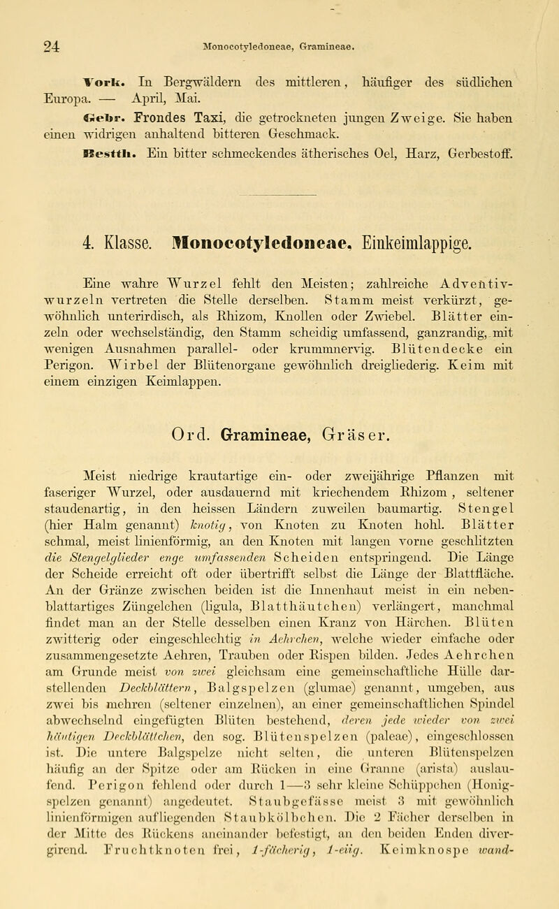 l'orli. In Bergwäldern des mittleren, häufiger des südlichen Europa. — April, Mai. Crebr. Fremdes Taxi, die getrockneten jungen Zweige. Sie haben einen widrigen anhaltend bitteren Geschmack. ßesttli. Ein bitter schmeckendes ätherisches Oel, Harz, Gerbestoff. 4. Klasse. Monocotyledoneae. Einkeimlappige. Eine wahre Wurzel fehlt den Meisten; zahlreiche Adventiv- wurzeln vertreten die Stelle derselben. Stamm meist verkürzt, ge- wöhnlich unterirdisch, als Rhizom, Knollen oder Zwiebel. Blätter ein- zeln oder wechselständig, den Stamm scheidig umfassend, ganzrandig,_mit wenigen Ausnahmen parallel- oder krummnervig. Blüten decke ein Perigon. Wirbel der Blütenorgane gewöhnlich dreigliederig. Keim mit einem einzigen Keimlappen. Ord. G-ramineae, Gräser. Meist niedrige krautartige ein- oder zweijährige Pflanzen mit faseriger Wurzel, oder ausdauernd mit kriechendem Bhizom, seltener staudenartig, in den heissen Ländern zuweilen baumartig. Stengel (hier Halm genannt) knotig, von Knoten zu Knoten hohl. Blätter schmal, meist linienförmig, an den Knoten mit langen vorne geschützten die Stengelglieder enge umfassenden Scheiden entspringend. Die Länge der Scheide erreicht oft oder übertrifft selbst die Länge der Blattfläche. An der Gränze zwischen beiden ist die Innenhaut meist in ein neben- blattartiges Züngelchen (ligula, Blatthäutchen) verlängert, manchmal findet man an der Stelle desselben einen Kranz von Härchen. Blüten zwitterig oder eingeschlechtig in Aehrchen, welche wieder einfache oder zusammengesetzte Aehren, Trauben oder Bispen bilden. Jedes Aehrchen am Grunde meist von zwei gleichsam eine gemeinschaftliche Hülle dar- stellenden Deckblättern, Balgspelzen (glumae) genannt, umgeben, aus zwei bis mehren (seltener einzelnen), an einer gemeinschaftlichen Spindel abwechselnd eingefügten Blüten bestehend, deren jede wieder von zwei häutigen Deckblättclien, den sog. Blütenspelzen (paleac), eingeschlossen ist. Die untere Balgspclze nicht selten, die tunteren Blütenspelzen häufig an der Spitze oder am Rücken in eine Granne (arista) auslau- fend. Perigon fehlend oder durch 1—3 sehr kleine Schüppchen (Honig- gpelzen genannt) angedeutet. Staubgefässe meist -'5 mit gewöhnlich linicnförmigen anfliegenden St anbkölbchen. Die 2 Fächer derselben in der Mitte des Rückens aneinander liefest igt, an den beiden Enden diver- girend. Fruchtknoten frei, 1-fächerig, 1-eiig. Keimknospe ioand-