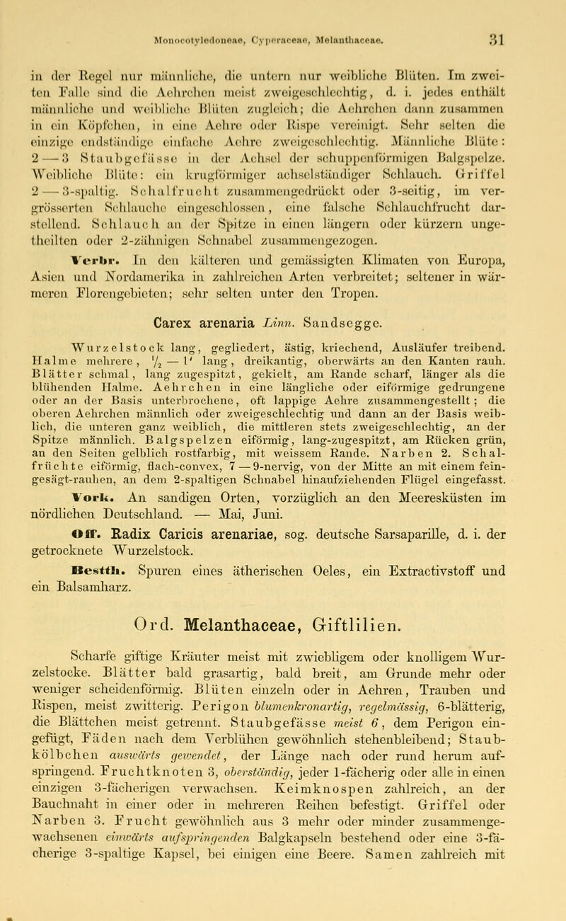 in der Regel nur männliche, die untern nur weibliche Blüten. Im zwei- ten Falle sind die Aehrohen meist zweigesohleohtig, d. i. jedes enthält männliche und weibliohe Blüten zugleich,; die Aehrchen dann zusammen in ein Köpfchen, in eine A.ehre '»der Rispe vereinigt. Sehr selten die einzige endständige einfache Aehre zweigesohleohtig. Männliche Blüte: 2 —8 Staubgefässe in der Achsel der BchuppenfÖrmigen Balgspelze. Weibliche Blüte: ein krugförmiger achselständiger Schlauch. Griffel 2 — 8-spaltig. Schal l'rueli t zusammengedrückt oder 3-seitig, im ver- grösserten Schlauche eingeschlossen, eine falsche Schlauchfrucht dar- stellend. Schl.i uch an der Spitze in einen längern oder kürzern unge- teilten oder 2-zähnigcn Schnabel zusammengezogen. l'eritr. In den kälteren und gemässigten Klimaten von Europa, Asien und Nordamerika in zahlreichen Arten verbreitet; seltener in wär- meren Florengebieten; sehr selten unter den Tropen. Carex arenaria Linn. Sandsegge. Wurzelstock lang, gegliedert, ästig, kriechend, Ausläufer treibend. Halme mehrere, '/.2 — 1' lang, dreikantig, oberwärts an den Kanten rauh. Blätter schmal, lang zugespitzt, gekielt, am Rande scharf, länger als die blühenden Halme. Aehrchen in eine längliche oder eiförmige gedrungene oder an der Basis unterbrochene, oft lappige Aehre zusammengestellt; die oberen Aehrchen männlich oder zweigeschlechtig und dann an der Basis weib- lich, die unteren ganz weiblich, die mittleren stets zweigeschlechtig, an der Spitze männlich. Balgspelzen eiförmig, lang-zugespitzt, am Rücken grün, an den Seiten gelblich rostfarbig, mit weissem Rande. Narben 2. Schal- früchte eiförmig, flach-convex, 7—9-nervig, von der Mitte an mit einem fein- gesägt-rauhen, an dem 2-spaltigen Schnabel hinaufziehenden Flügel eingefasst. Vork. An sandigen Orten, vorzüglich an den Meeresküsten im nördlichen Deutschland. — Mai, Juni. OfT. Radix Caricis arenariae, sog. deutsche Sarsaparille, d. i. der getrocknete Wurzelstock. Besttli. Spuren eines ätherischen Oeles, ein Extractivstoff und ein Balsamharz. Ord. Melanthaceae, Giftlilien. Scharfe giftige Kräuter meist mit zwiebligern oder knolligem Wur- zelstocke. Blätter bald grasartig, bald breit, am Grunde mehr oder weniger scheidenförmig. Blüten einzeln oder in Aehren, Trauben und Bispen, meist zwittcrig. Perigon blumenkronartig, regelmässig, 6-blätterig, die Blättchen meist getrennt. Staubgefässe meist 6, dem Perigon ein- gefügt, Fäden nach dem Yerblühen gewöhnlich stehenbleibend; Staub- kölbchen auswärts gewendet, der Länge nach oder rund herum auf- springend. Fruchtknoten 3, oberständig, jeder 1-fächerig oder alle in einen einzigen 3-fächerigen verwachsen. Keimknospen zahlreich, an der Bauchnaht in einer oder in mehreren Keinen befestigt. Griffel oder Narben 3. Frucht gewöhnlich aus 3 mehr oder minder zusammenge- wachsenen einwärts aufspringenden Balgkapseln bestehend oder eine 3-ia- cherige 3-spaltige Kapsel, bei einigen eine Beere. Samen zahlreich mit