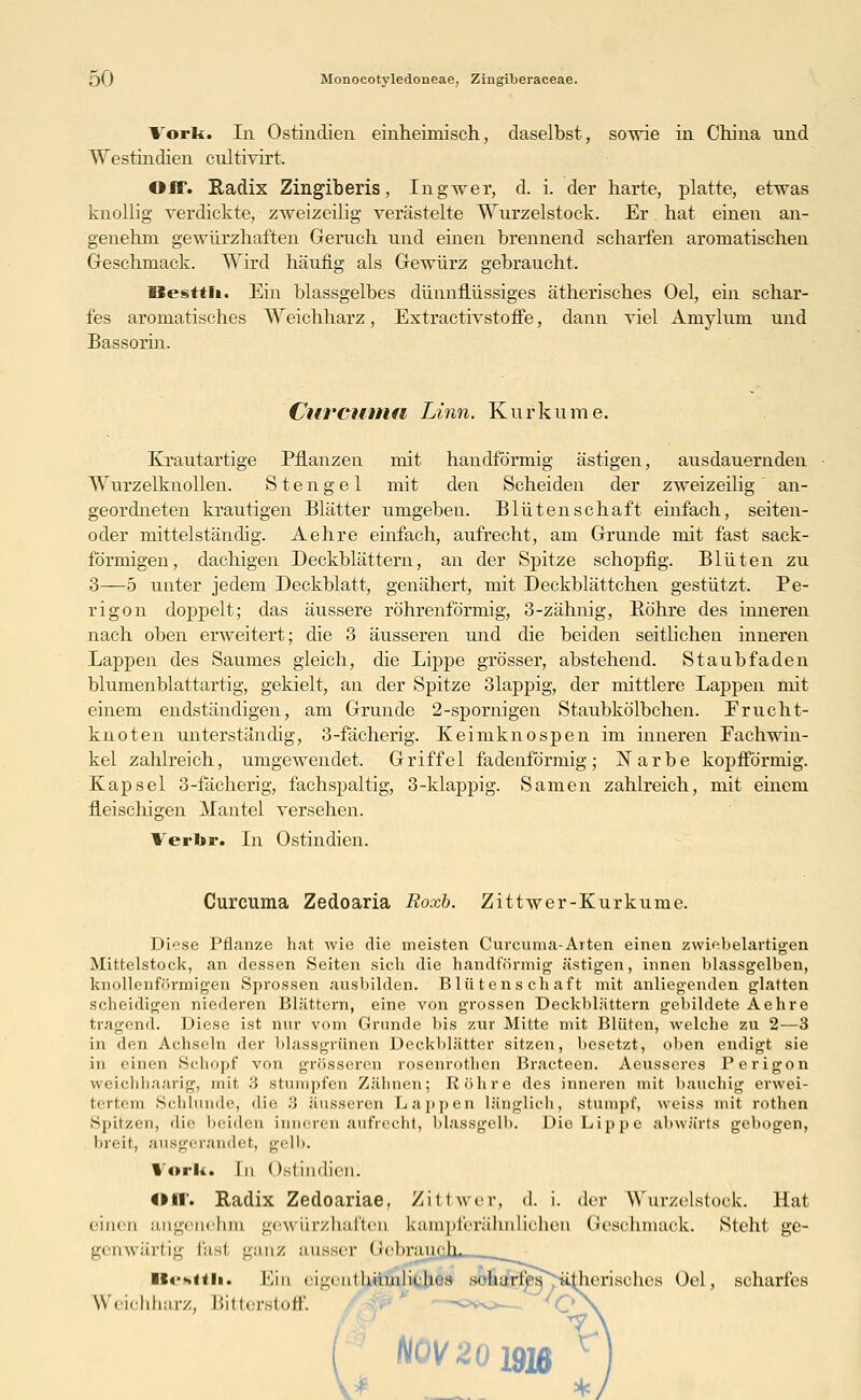 Vork. In Ostindien einheimisch, daselbst, sowie in China und Westindien cultivirt. Off. Radix Zingiberis, Ingwer, d. i. der harte, platte, etwas knollig verdickte, zweizeilig verästelte Wurzelstock. Er hat einen an- genehm gewürzhaften Geruch und einen brennend scharfen aromatischen Geschmack. Wird häufig als Gewürz gebraucht. Besttli. Ein blassgelbes dünnflüssiges ätherisches Oel, ein schar- fes aromatisches Weichharz, Extractivstoffe, dann viel Amylum und Bassorin. Curcuma Linn. Kufkume. Krautartige Pflanzen mit han eiförmig ästigen, ausdauernden Wurzelknollen. Stengel mit den Scheiden der zweizeilig an- geordneten krautigen Blätter umgeben. Blütenschaft einfach, seiten- oder mittelständig. Aehre einfach, aufrecht, am Grunde mit fast sack- förmigen, dachigen Deckblättern, an der Spitze schopfig. Blüten zu 3—5 unter jedem Deckblatt, genähert, mit Deckblättchen gestützt. Pe- rigon doppelt; das äussere röhrenförmig, 3-zähnig, Bohre des inneren nach oben erweitert; die 3 äusseren und die beiden seitlichen inneren Lappen des Saumes gleich, die Lippe grösser, abstehend. Staubfaden blumenblattartig, gekielt, an der Spitze 3lappig, der mittlere Lappen mit einem endständigen, am Grunde 2-spornigen Staubkölbchen. Frucht- knoten unterständig, 3-fächerig. Keimknospen im inneren Fachwin- kel zahlreich, umgewendet. Griffel fadenförmig; Narbe kopfförmig. Kapsel 3-fächerig, fachspaltig, 3-klappig. Samen zahlreich, mit einem fleischigen Mantel versehen. Verljr. In Ostindien. Curcuma Zedoaria Roxb. Zittwer-Kurkume. Diese Pflanze hat wie die meisten Curcuma-Arten einen zwiebelartigen Mittelstock, an dessen Seiten sich die bandförmig ästigen, innen blassgelben, knollenförmigen »Sprossen ausbilden. Blütenschaft mit anliegenden glatten scheidigen niederen Blättern, eine von grossen Deckblättern gebildete Aehre tragend. Diese ist nur vom Grunde bis zur Mitte mit Blüten, welche zu 2—3 in den Achseln der blassgrünen Deckblätter sitzen, besetzt, oben endigt sie in einen Schopf von grösseren rosenrothen Bracteen. Aeusseres Perigon weichhaarig, mit 3 stumpfen Zähnen; Röhre des inneren mit bauchig erwei- tertem Schlünde, die 3 äusseren Lappen länglich, stumpf, weiss mit rothen Spitzen, die beiden inneren aufrecht, blassgelb. Die Lippe abwärts gebogen, breit, ausgerandet, gelb. Vork« In Ostindien. off. Radix Zedoariae. Zittwer, d. i. der Wurzelstook. Hat einen angenehm gcwiirzliai'ten kampferälinliclien (ieschinuck. Steht ge- genwärtig fast ganz ausser Gebrauch. ItVsHIi. Ein ei^enllimiilirhes sehurles^ätlierischcs Oel, scharfes WYn-himrx, Bitterstoff —<*o— *Q H0V20JSIB