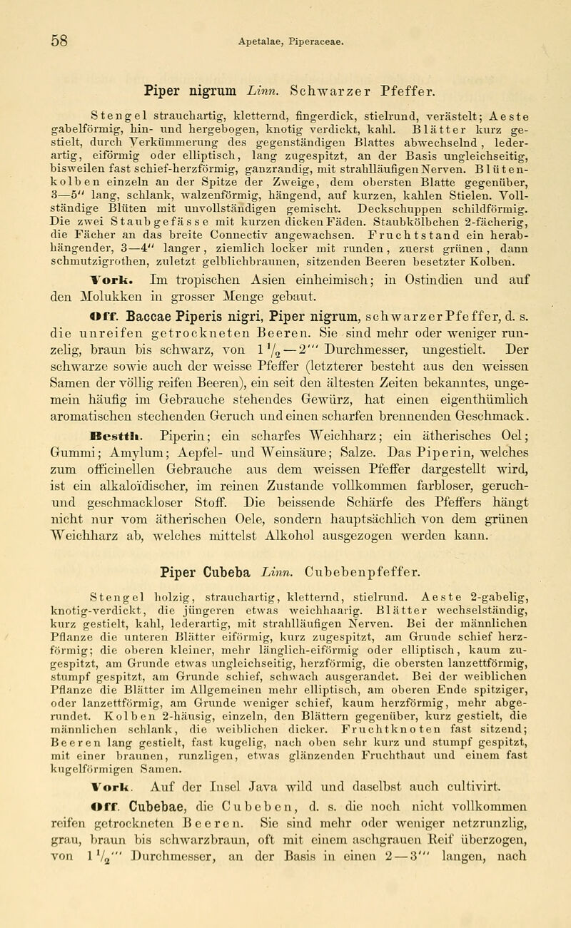 Piper nigrum Linn. Schwarzer Pfeffer. Stengel strauchartig, kletternd, fingerdick, stielrund, verästelt; Aeste gabelförmig, hin- und hergebogen, knotig verdickt, kahl. Blätter kurz ge- stielt, durch Verkümmerung des gegenständigen Blattes abwechselnd , leder- artig, eiförmig oder elliptisch, lang zugespitzt, an der Basis ungleichseitig, bisweilen fast schief-herzförmig, ganzrandig, mit strahlläufigen Nerven. Blüten- kolben einzeln an der Spitze der Zweige, dem obersten Blatte gegenüber, 3—b lang, schlank, walzenförmig, hängend, auf kurzen, kahlen Stielen. Voll- ständige Blüten mit unvollständigen gemischt. Deckschuppen schildförmig. Die zwei Staubgefässe mit kurzen dicken Fäden. Staubkölbchen 2-fächerig, die Fächer an das breite Connectiv angewachsen. Fruchtstand ein herab- hängender, 3—4 langer , ziemlich locker mit runden , zuerst grünen , dann schmutzigrothen, zuletzt gelblichbraunen, sitzenden Beeren besetzter Kolben. Vorli. Im tropischen Asien einheimisch; in Ostindien und auf den Molukken in grosser Menge gebaut, Off. Baccae Piperis nigri, Piper nigrum, schwarzer Pfeffer, d. s. die unreifen getrockneten Beeren. Sie sind mehr oder weniger run- zelig, braun bis schwarz, von 1'/2 — 2' Durchmesser, ungestielt, Der schwarze sowie auch der weisse Pfeffer (letzterer besteht aus den weissen Samen der völlig reifen Beeren), ein seit den ältesten Zeiten bekanntes, unge- mein häufig im Gebrauche stehendes Gewürz, hat einen eigenthümhch aromatischen stechenden Geruch und einen scharfen brennenden Geschmack. Besttli. Piperin; ein scharfes Weichharz; ein ätherisches Oel; Gummi; Amylum; Aepfel- und Weinsäure; Salze. Das Piperin, welches zum officinellen Gebrauche aus dem weissen Pfeffer dargestellt wird, ist ein alkaloidischer, im reinen Zustande vollkommen farbloser, geruch- und geschmackloser Stoff. Die beissende Schärfe des Pfeffers hängt nicht nur vom ätherischen Oele, sondern hauptsächlich von dem grünen Weichharz ab, welches mittelst Alkohol ausgezogen werden kann. Piper Cubeba Linn. Cubebenpfeffer. Stengel holzig, strauchartig, kletternd, stielrund. Aeste 2-gabelig, knotig-verdickt, die jüngeren etwas weichhaarig. Blätter wechselständig, kurz gestielt, kahl, lederartig, mit strahlläufigen Nerven. Bei der männlichen Pflanze die unteren Blätter eiförmig, kurz zugespitzt, am Grunde schief herz- förmig; die oberen kleiner, mehr länglich-eiförmig oder elliptisch, kaum zu- gespitzt, am Grunde etwas ungleichseitig, herzförmig, die obersten lanzettförmig, stumpf gespitzt, am Grunde schief, schwach ausgerandet. Bei der weiblichen Pflanze die Blätter im Allgemeinen mehr elliptisch, am oberen Ende spitziger, oder lanzettförmig, am Grunde weniger schief, kaum herzförmig, mehr abge- rundet. Kolben 2-häusig, einzeln, den Blättern gegenüber, kurz gestielt, die männlichen schlank, die weiblichen dicker. Fruchtknoten fast sitzend; Beeren lang gestielt, fast kugelig, nach oben sehr kurz und stumpf gespitzt, mit einer braunen, runzligen, etwas glänzenden Fruchthaut und einem fast kugelförmigen Samen. Vork. Auf der Insel Java wild und daselbst auch eultivirt. €>rr. Cubebae, die Cubeben, d. s. die noch nicht vollkommen reifen getrockneten Beeren. Sie sind mehr oder weniger netzrunzlig, grau, braun bis schwarzbraun, oft mit einem aschgrauen Reif überzogen, von 1 V2' Durchmesser, an der Basis in einen 2 — 8' langen, nach